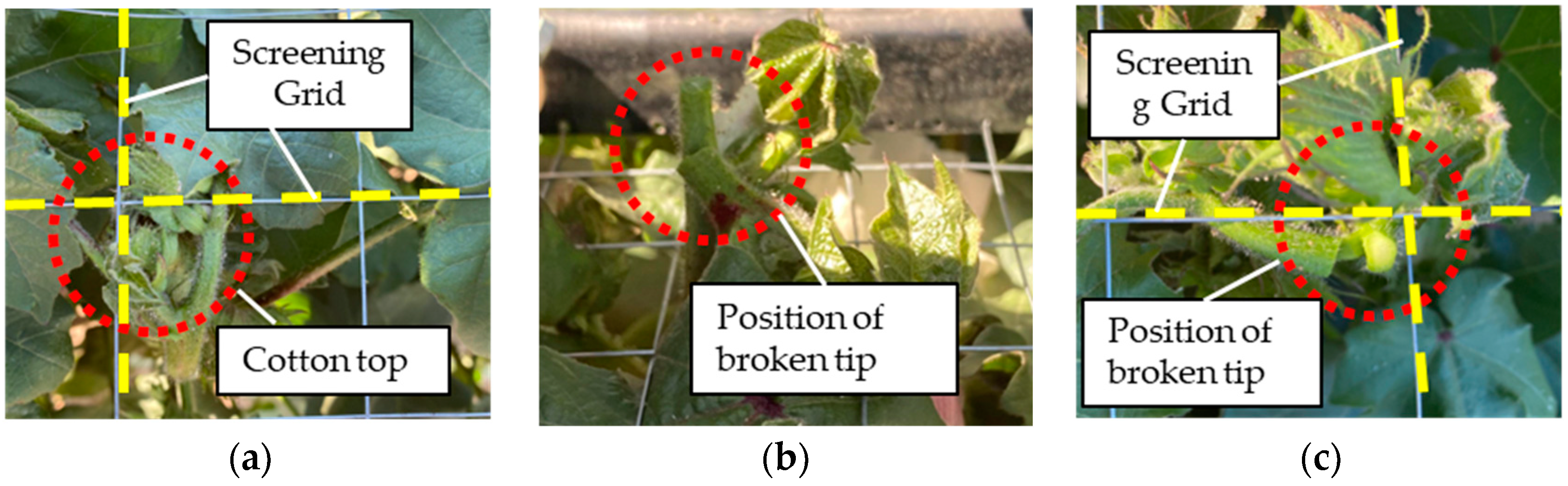 Agriculture 14 01469 g019
