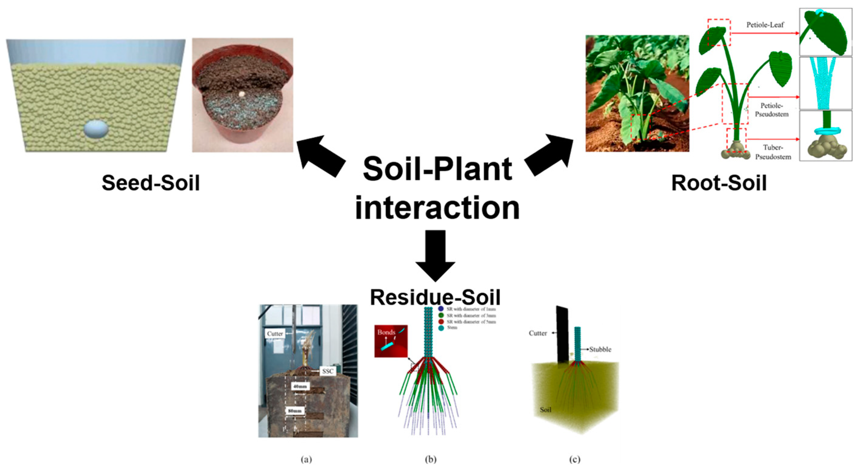 Agriculture 14 01486 g001