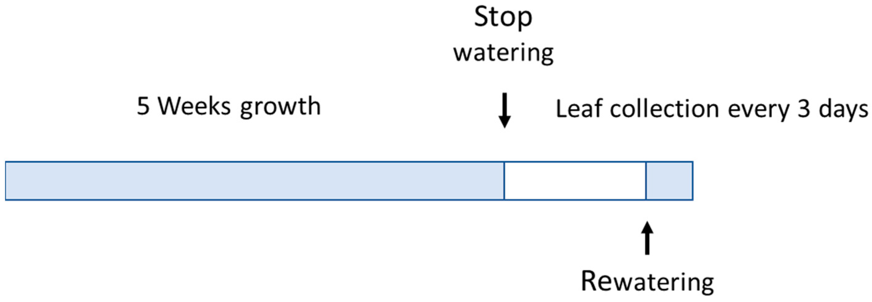 Agriculture 14 01491 g001