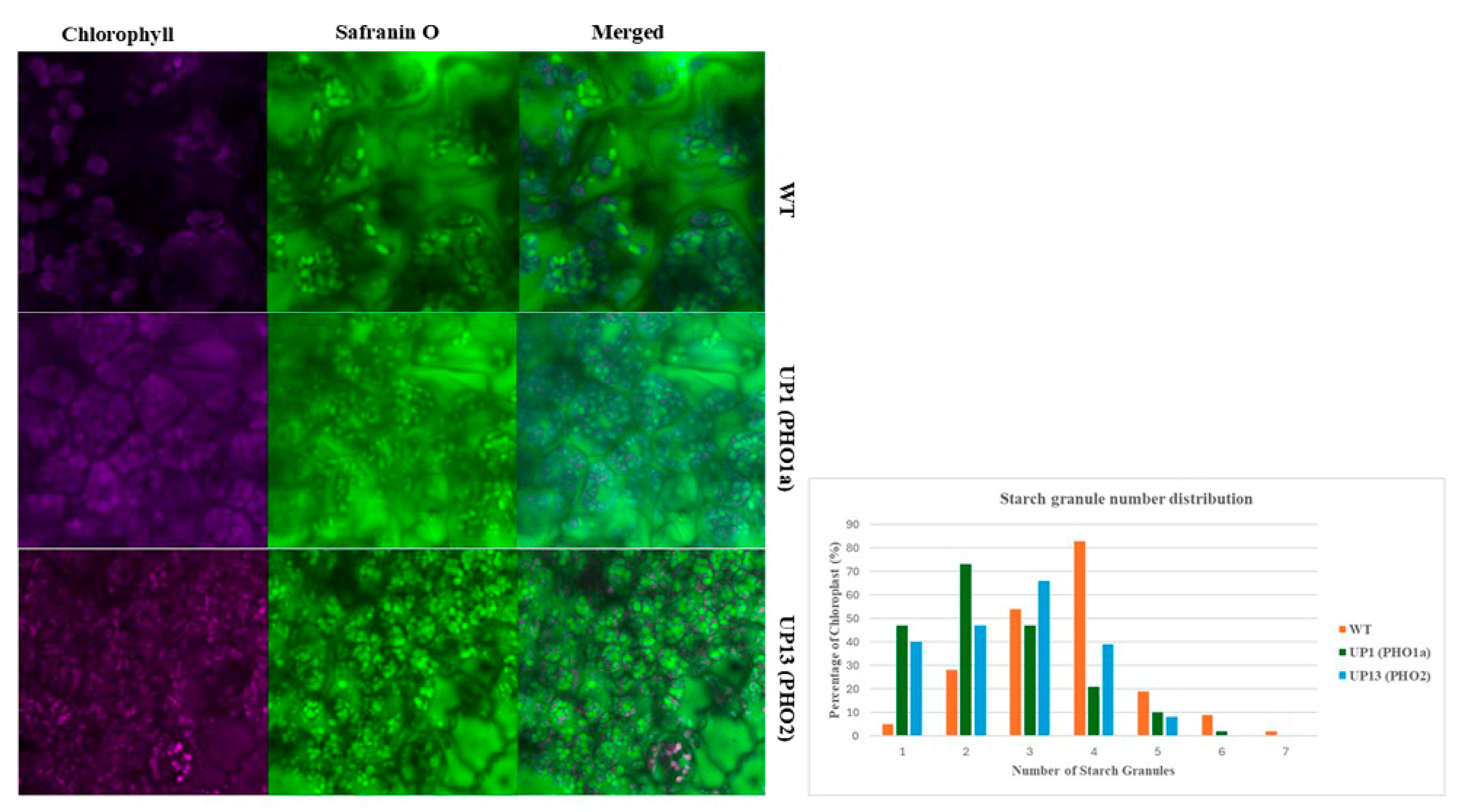 Agriculture 14 01491 g004