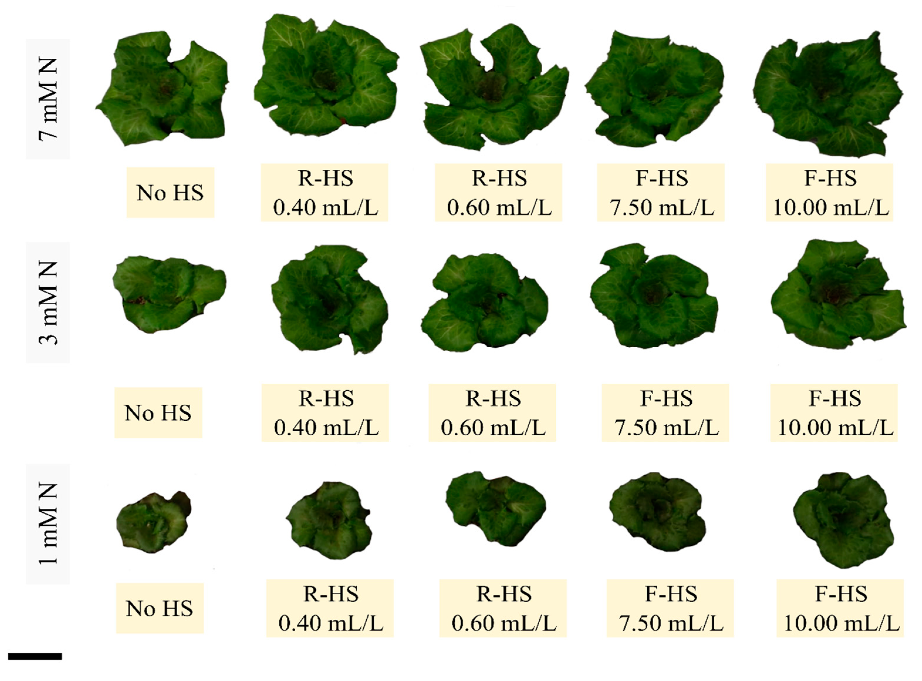 Agriculture 14 01492 g001