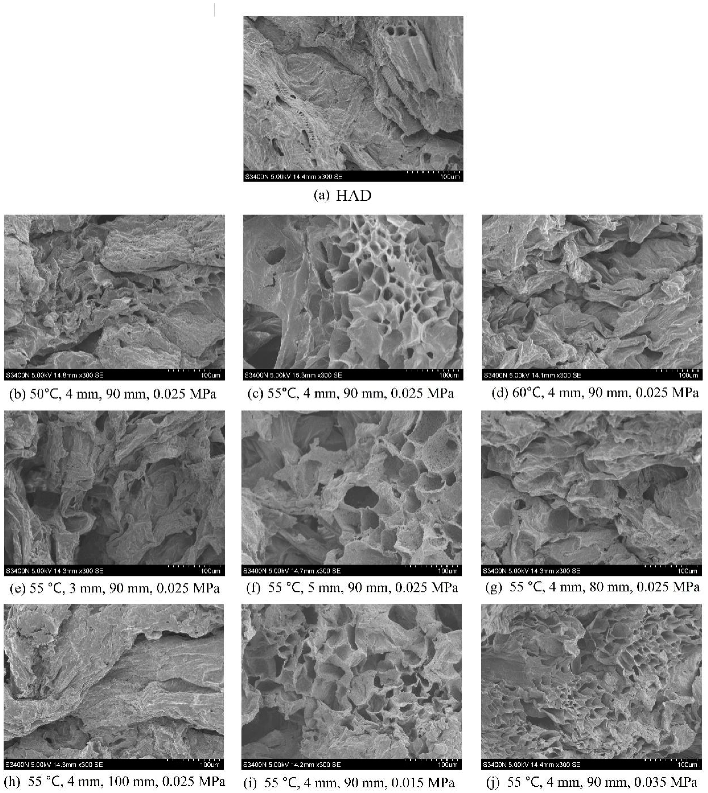 Agriculture 14 01495 g009