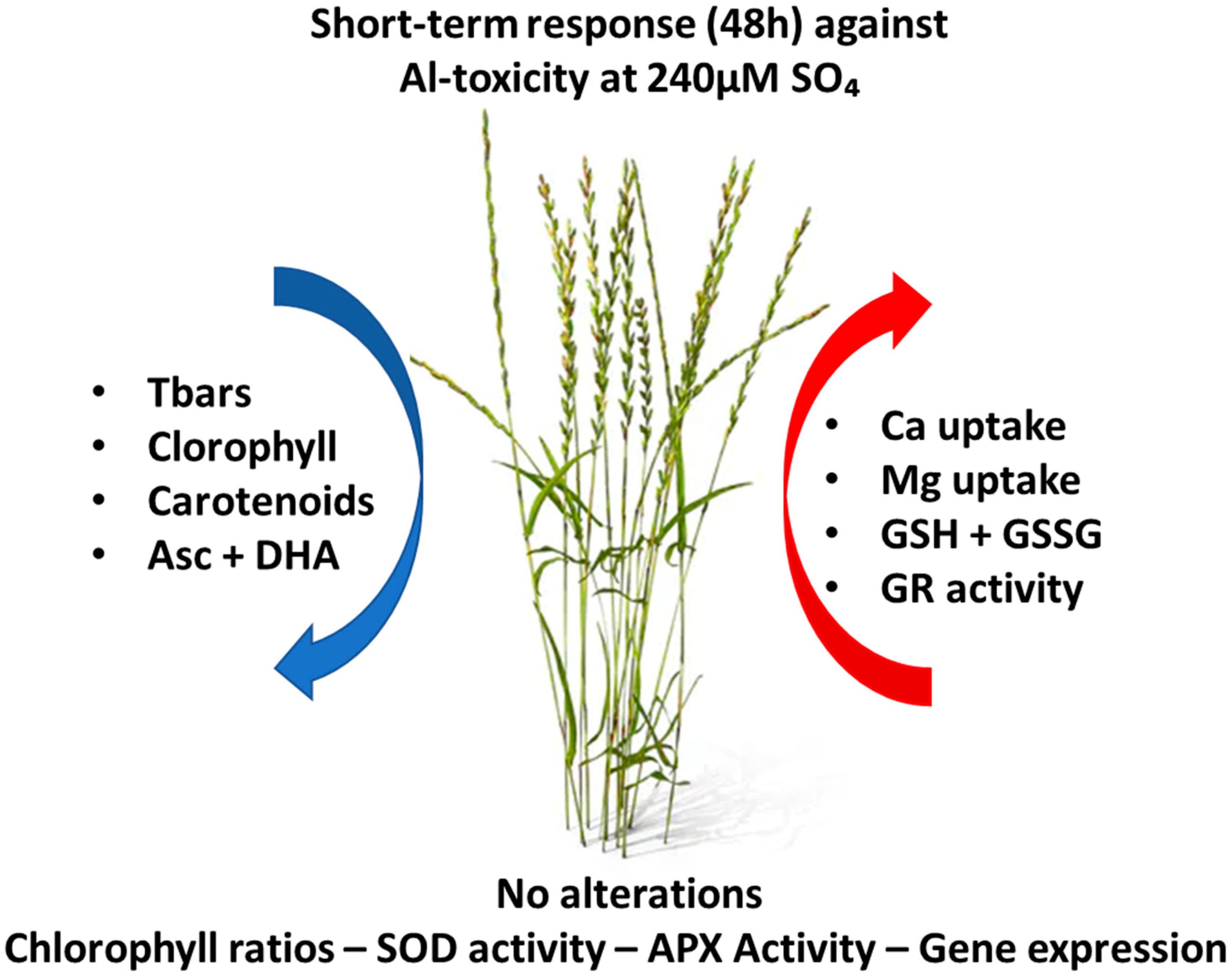 Agriculture 14 01506 g005 Agriculture 14 01506 g005