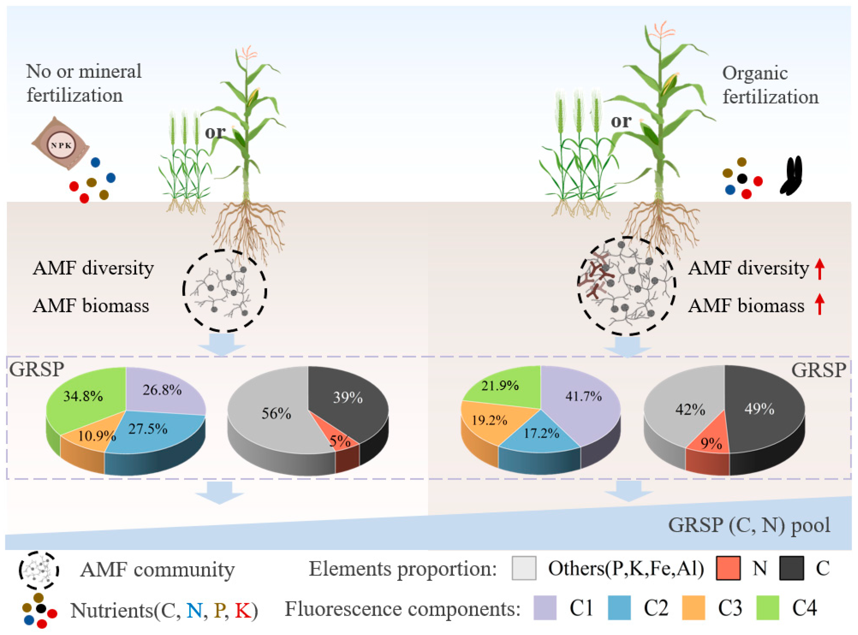 Agriculture 14 01510 g008