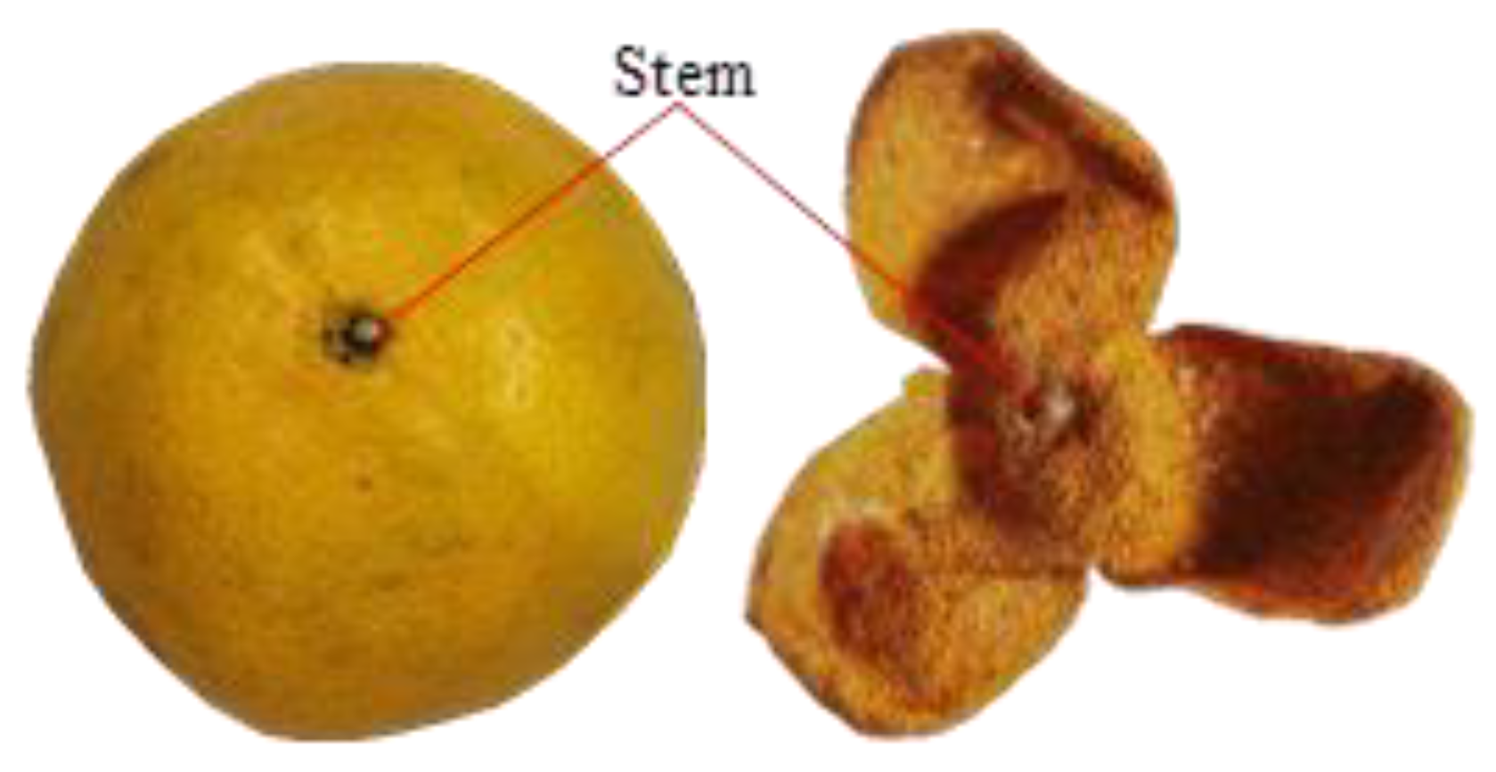 Agriculture 14 01516 g001