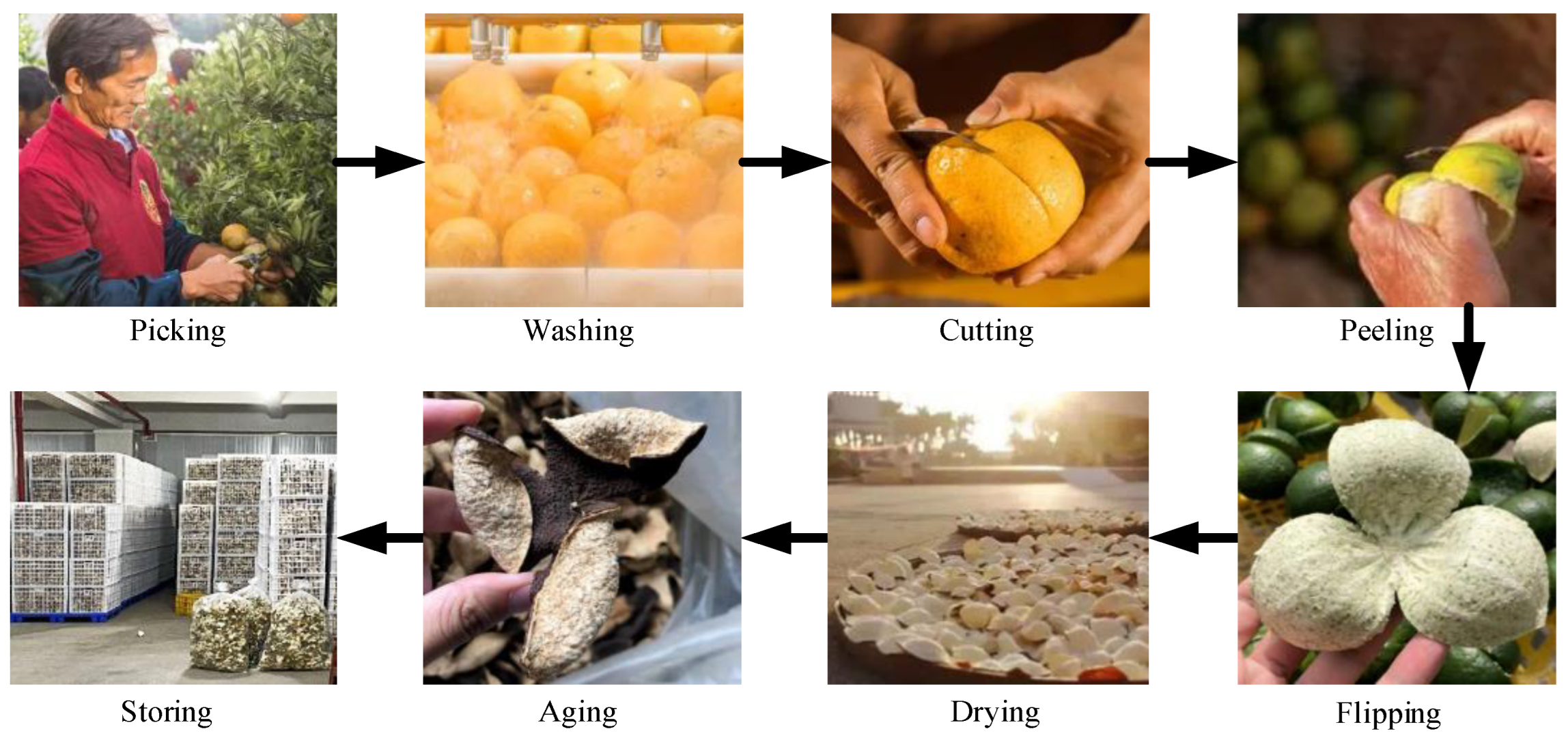 Agriculture 14 01516 g002