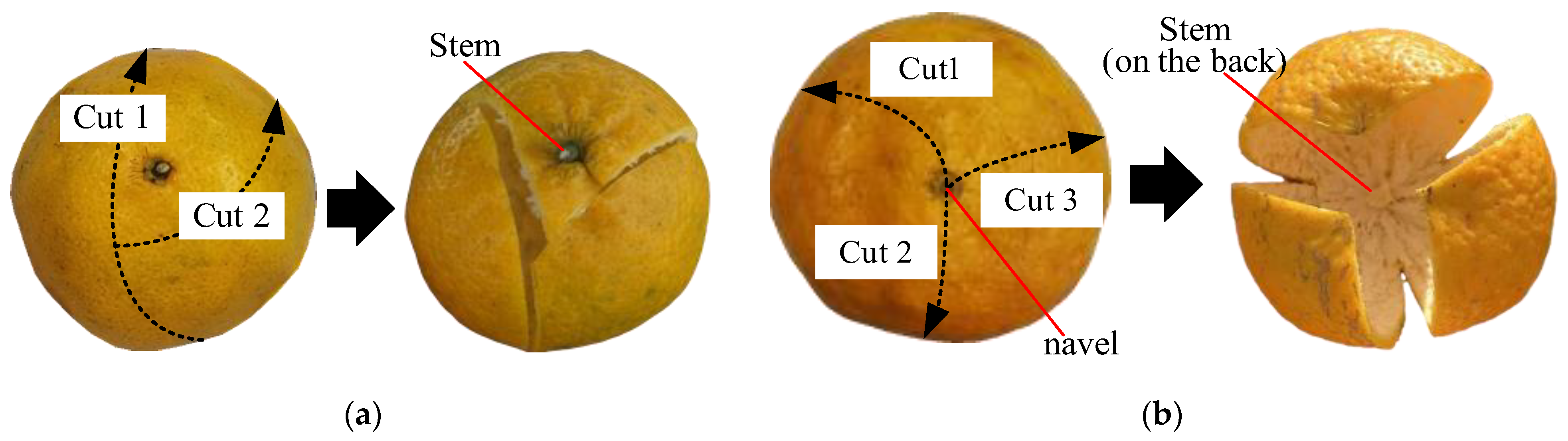 Agriculture 14 01516 g003