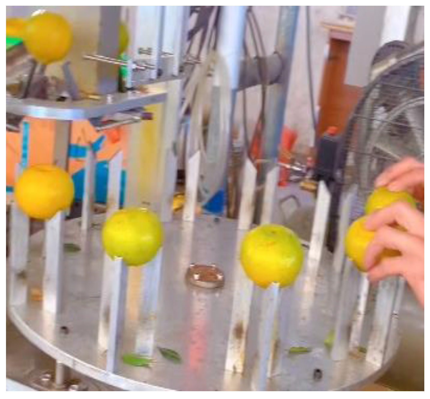 Agriculture 14 01516 g005