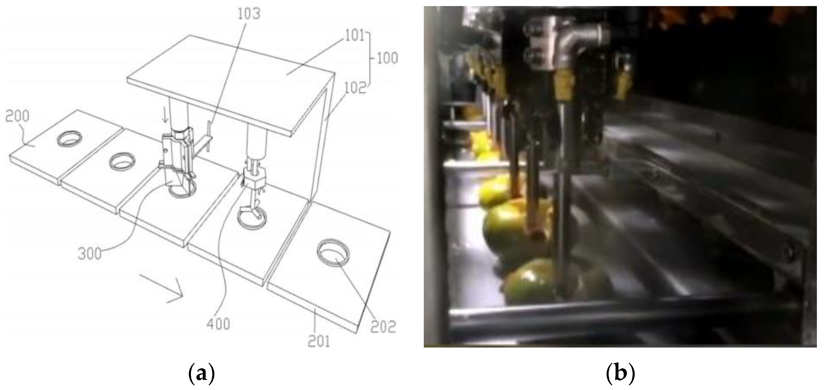 Agriculture 14 01516 g006