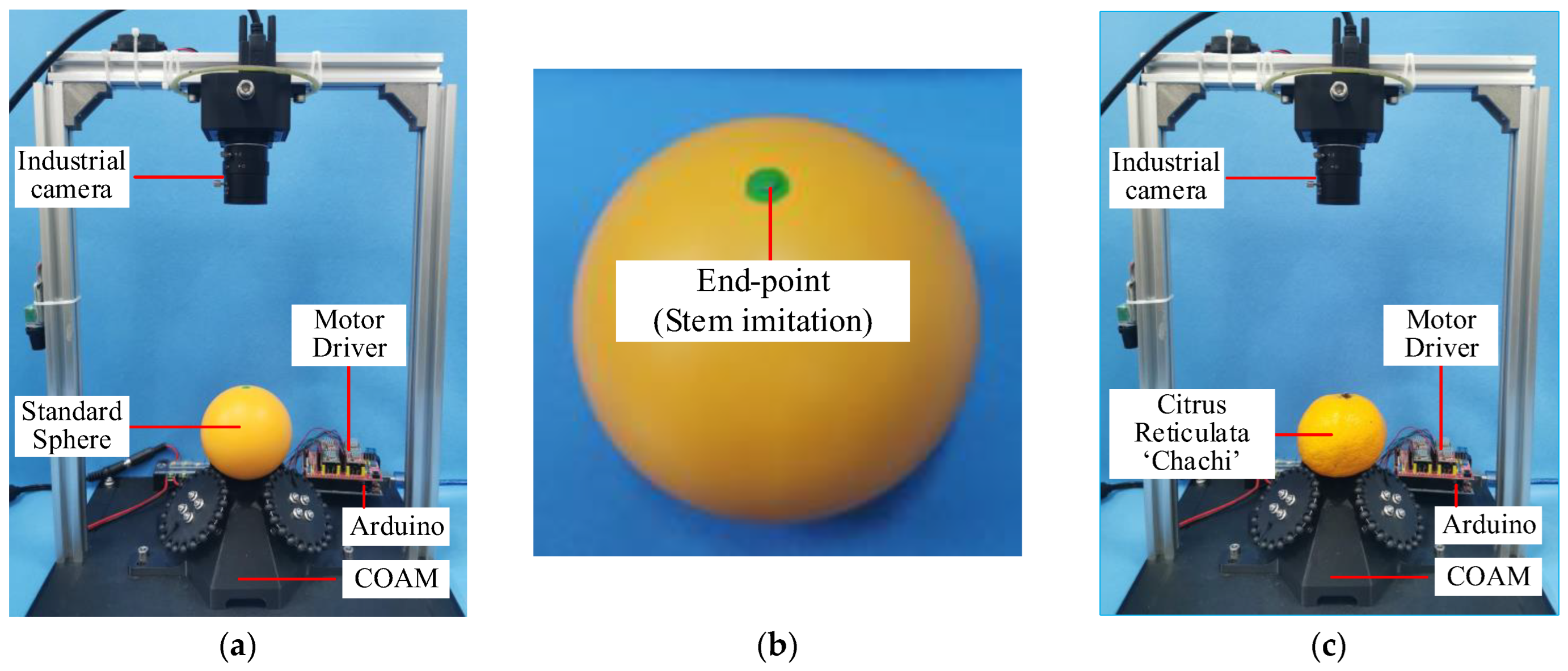 Agriculture 14 01516 g015