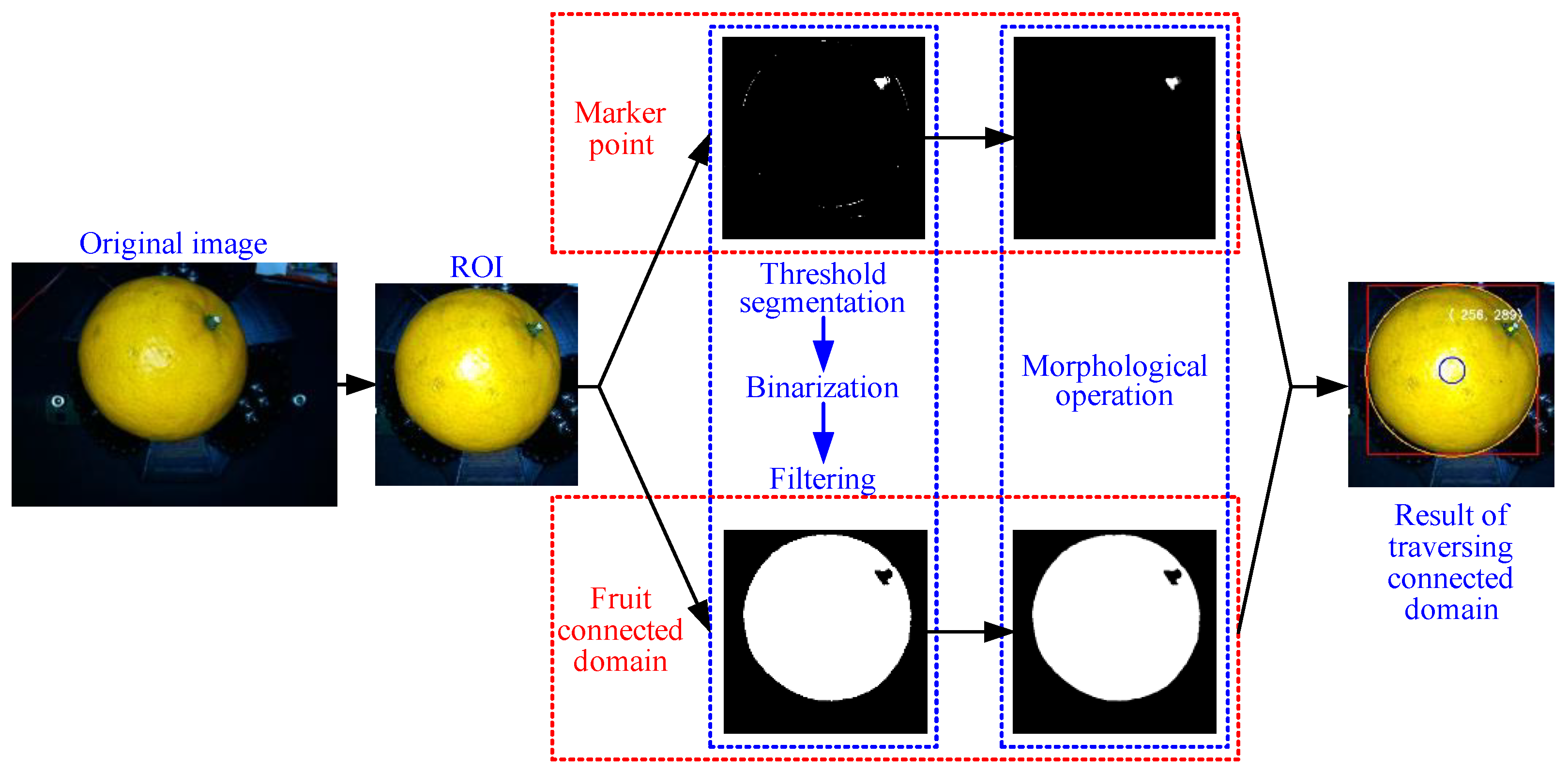 Agriculture 14 01516 g016
