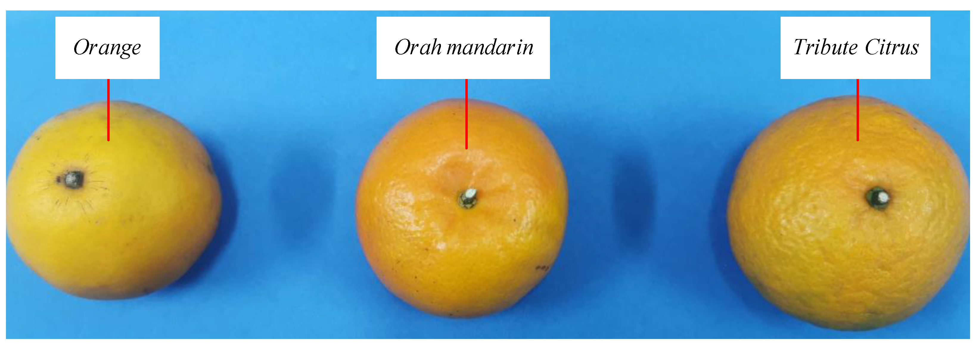 Agriculture 14 01516 g031