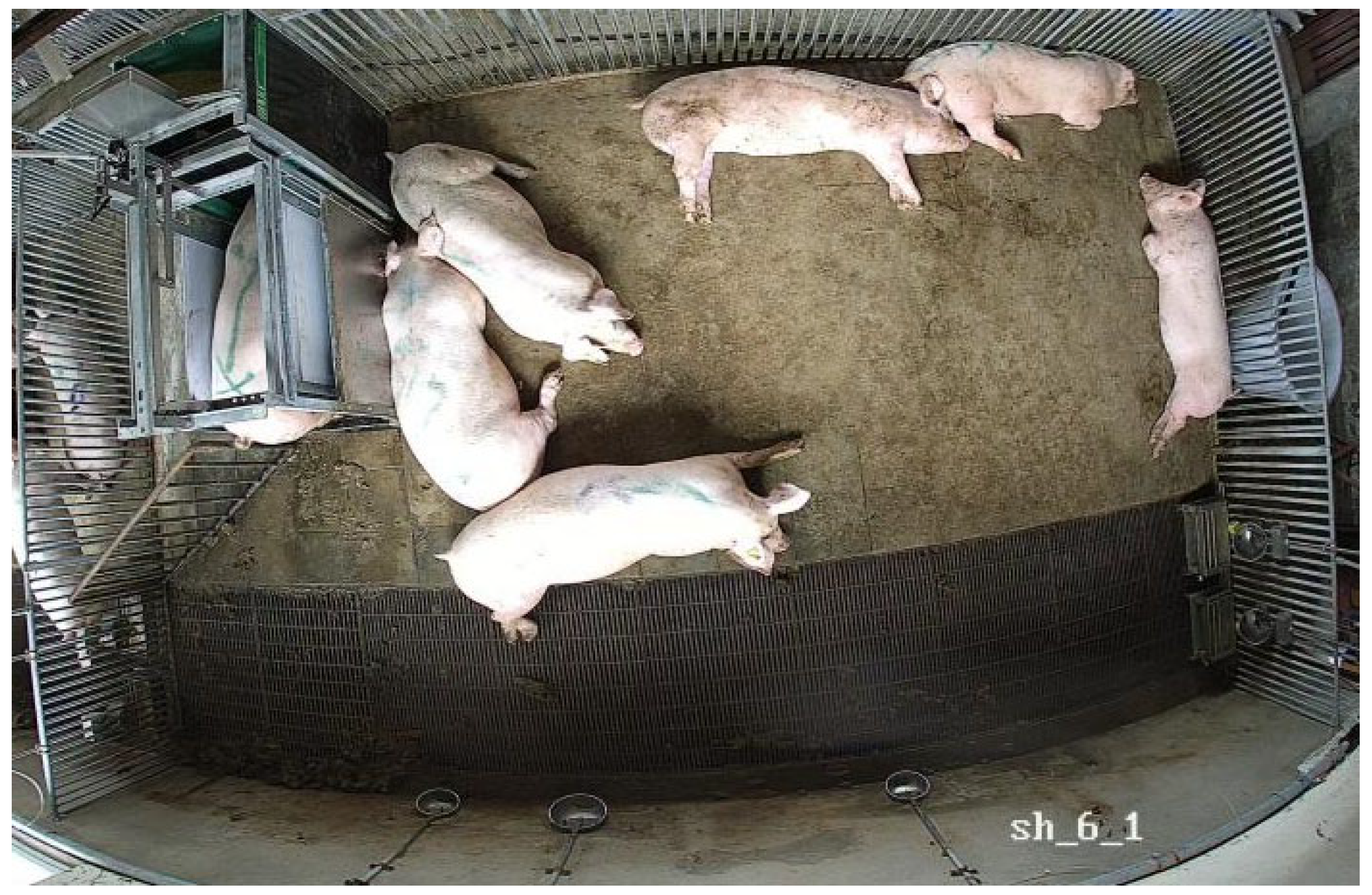 Agriculture 14 01525 g008