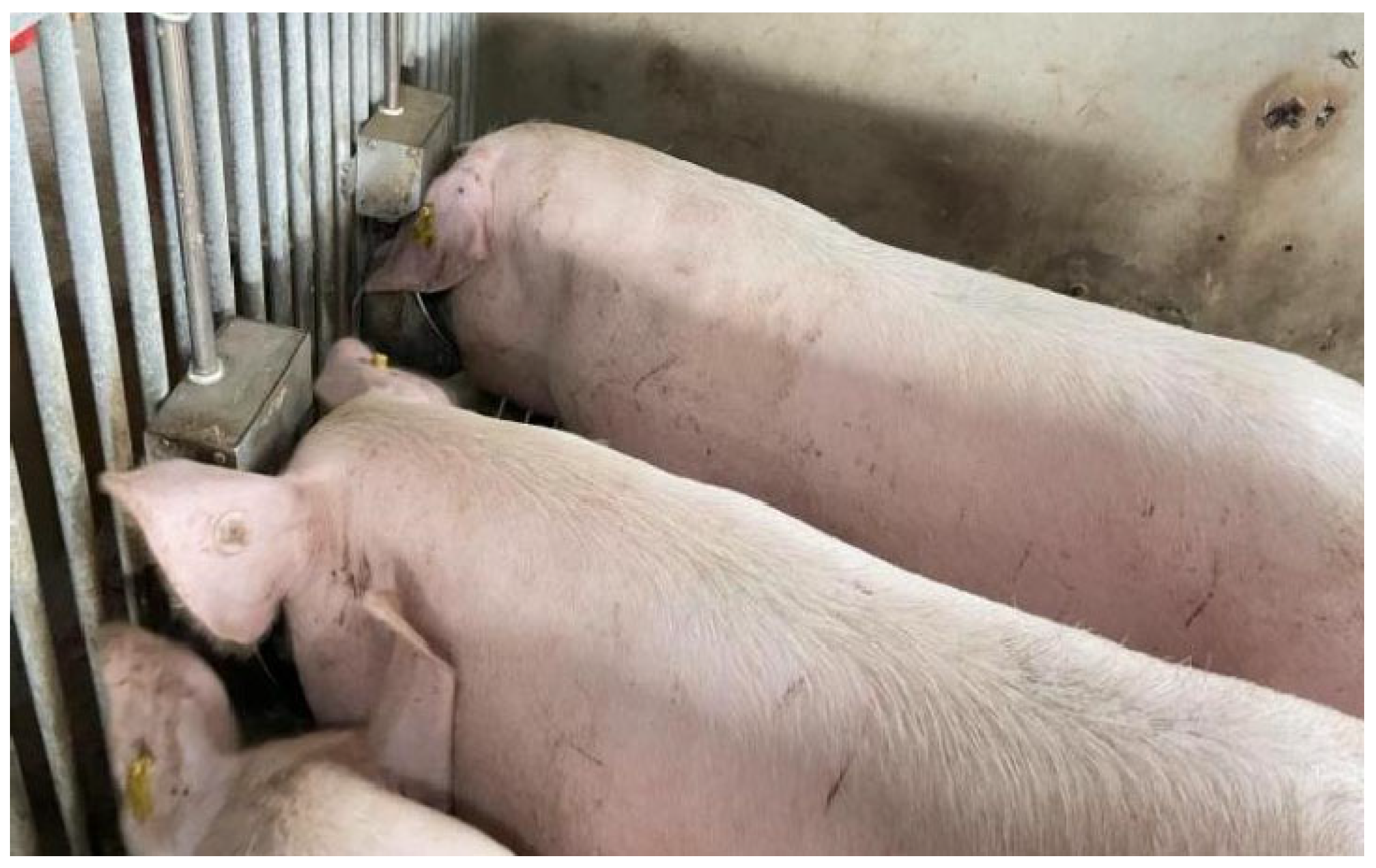 Agriculture 14 01525 g009