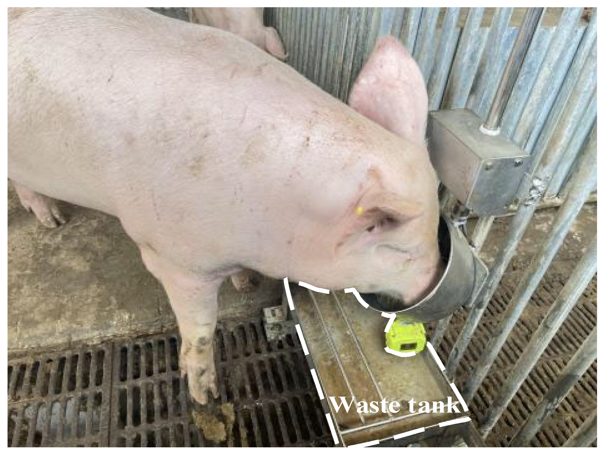 Agriculture 14 01525 g010