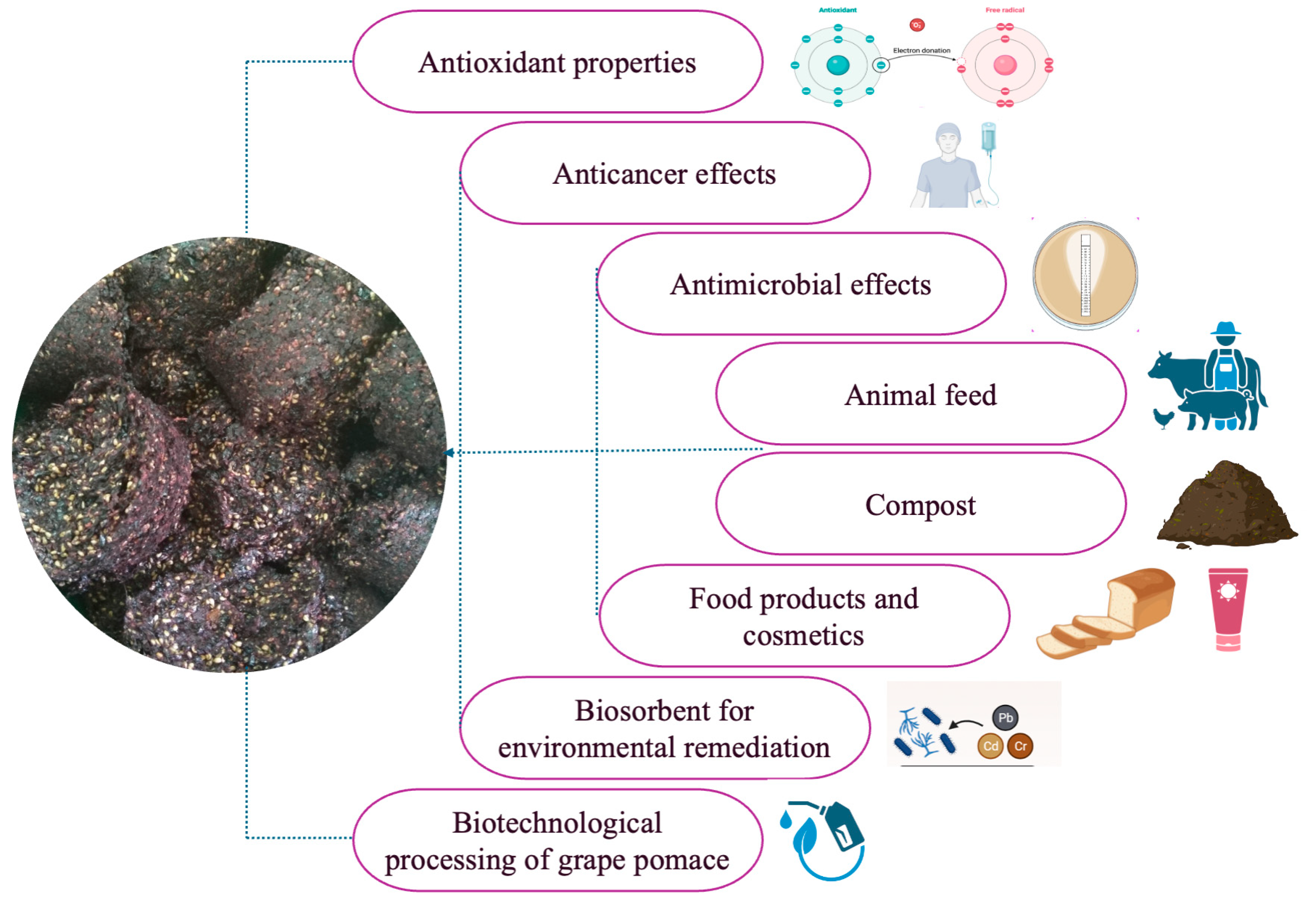 Agriculture 14 01529 g002