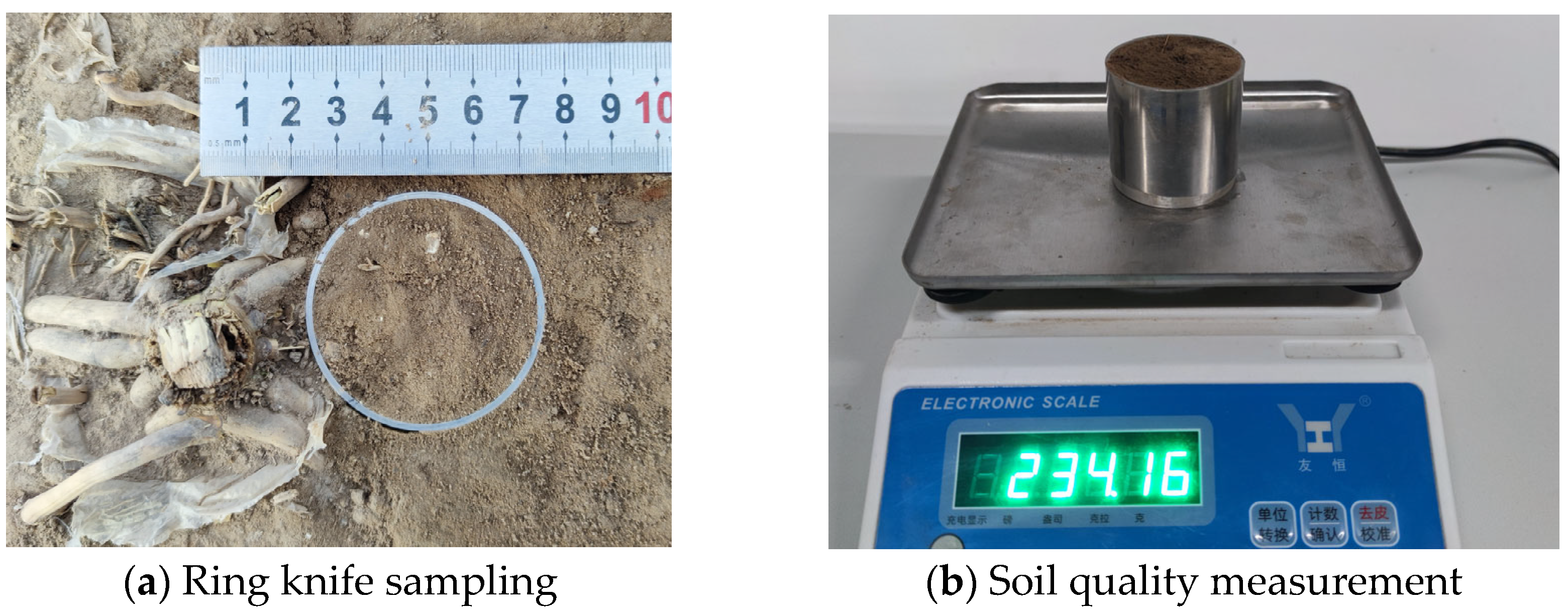 Agriculture 14 01542 g004