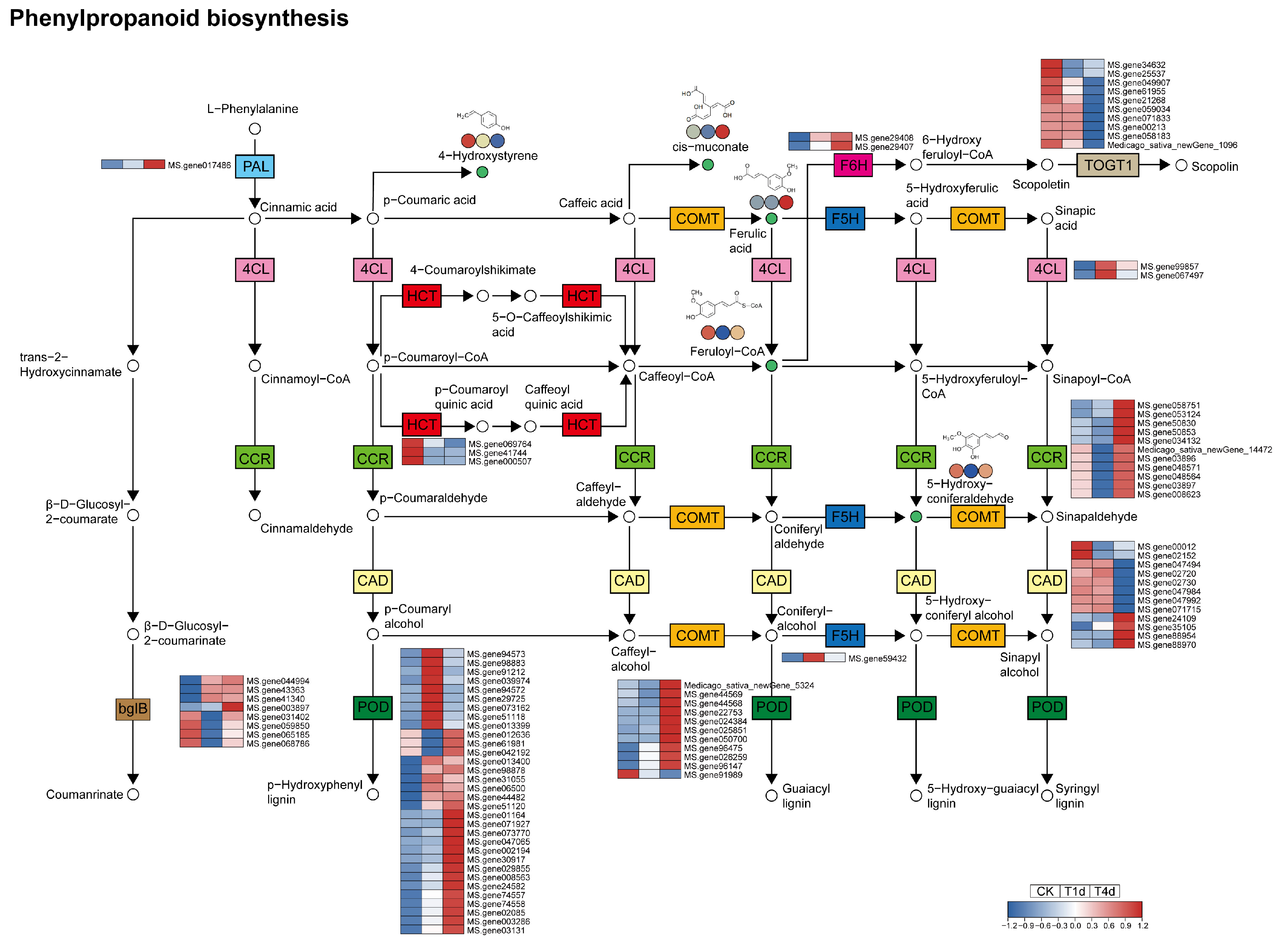 Agriculture 14 01545 g006 Agriculture 14 01545 g006