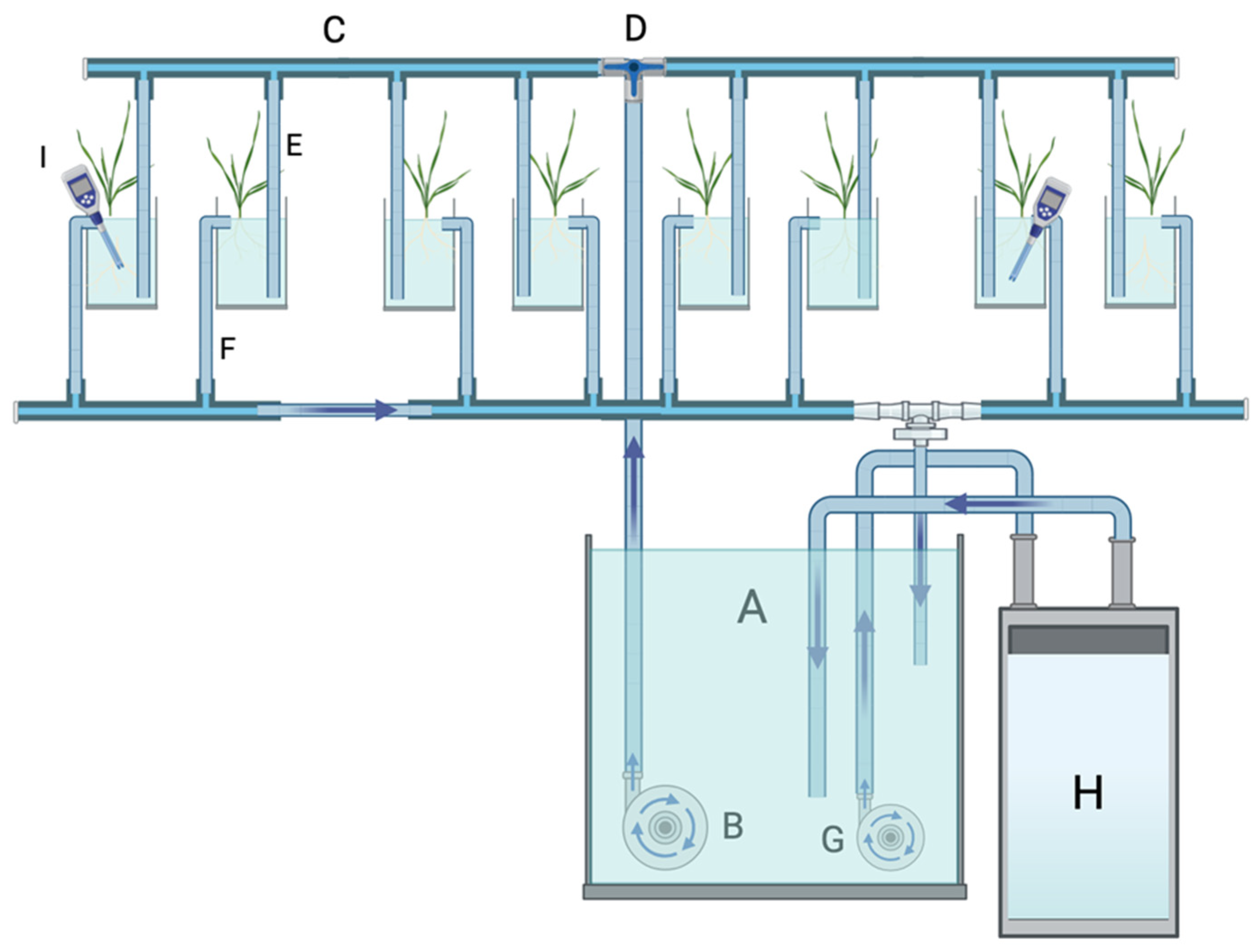 Agriculture 14 01574 g001