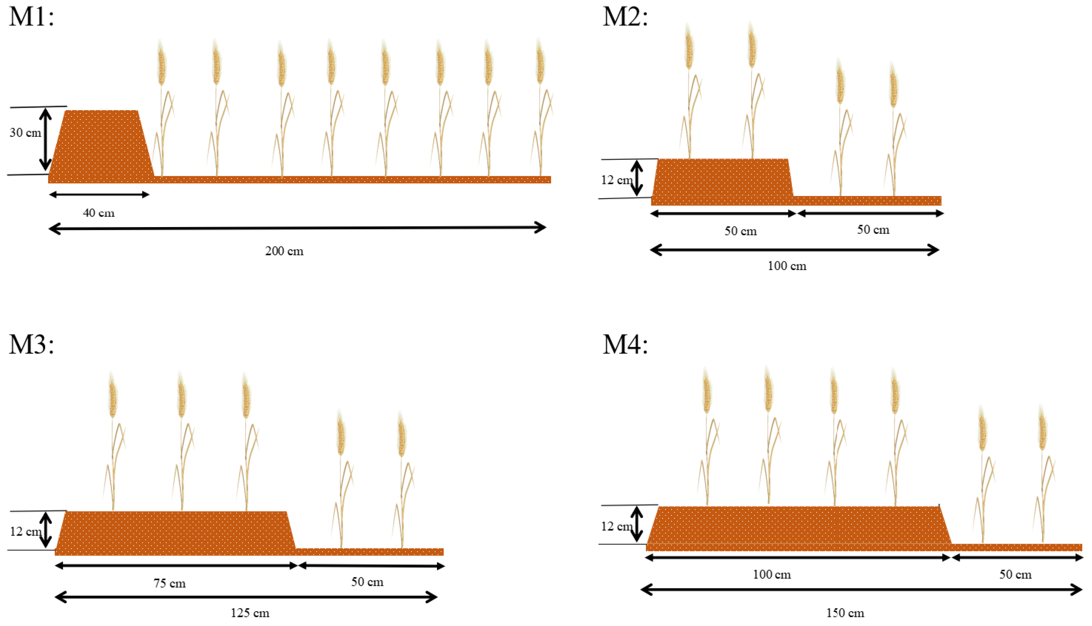 Agriculture 14 01579 g002