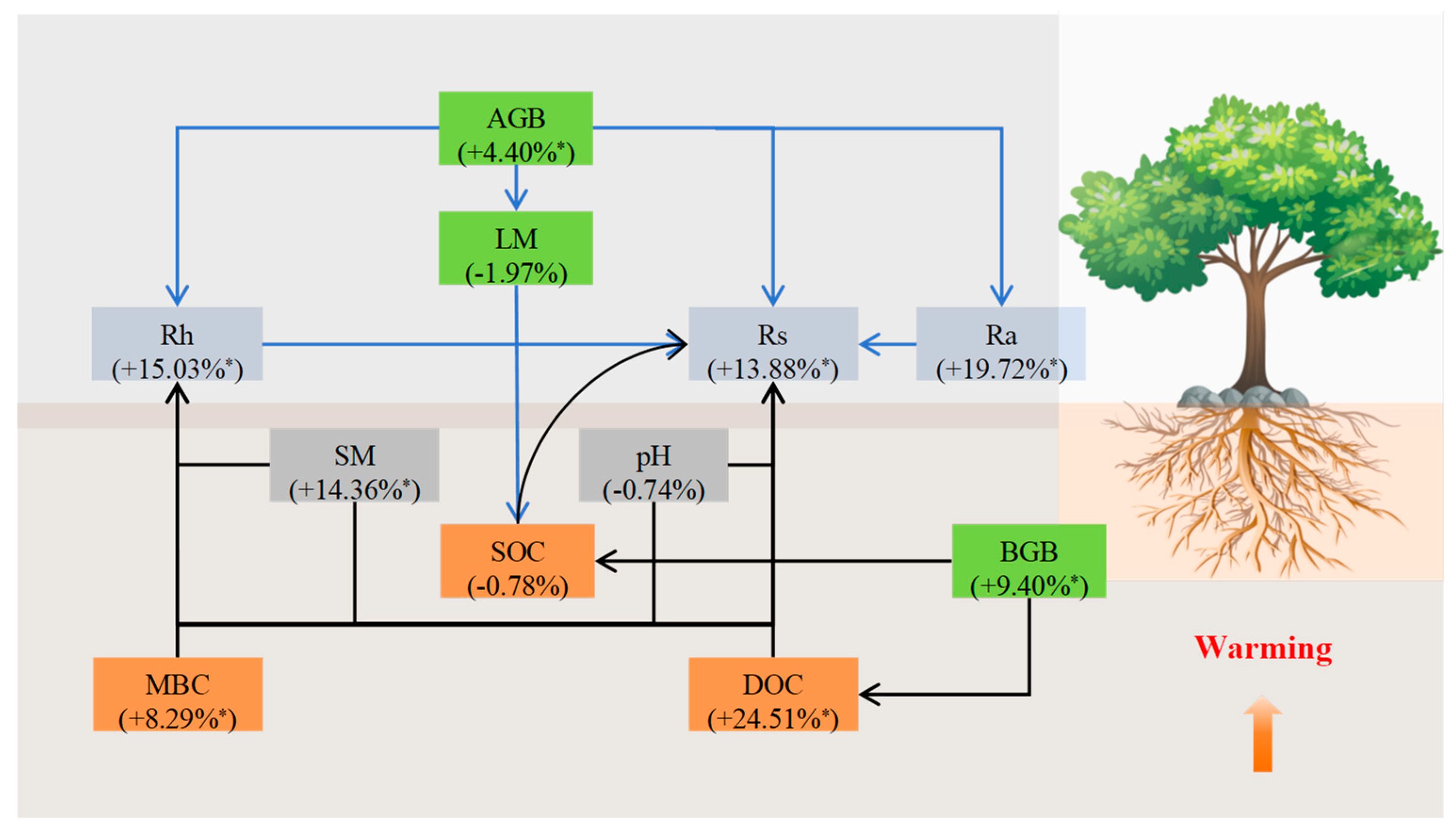 Agriculture 14 01581 g006