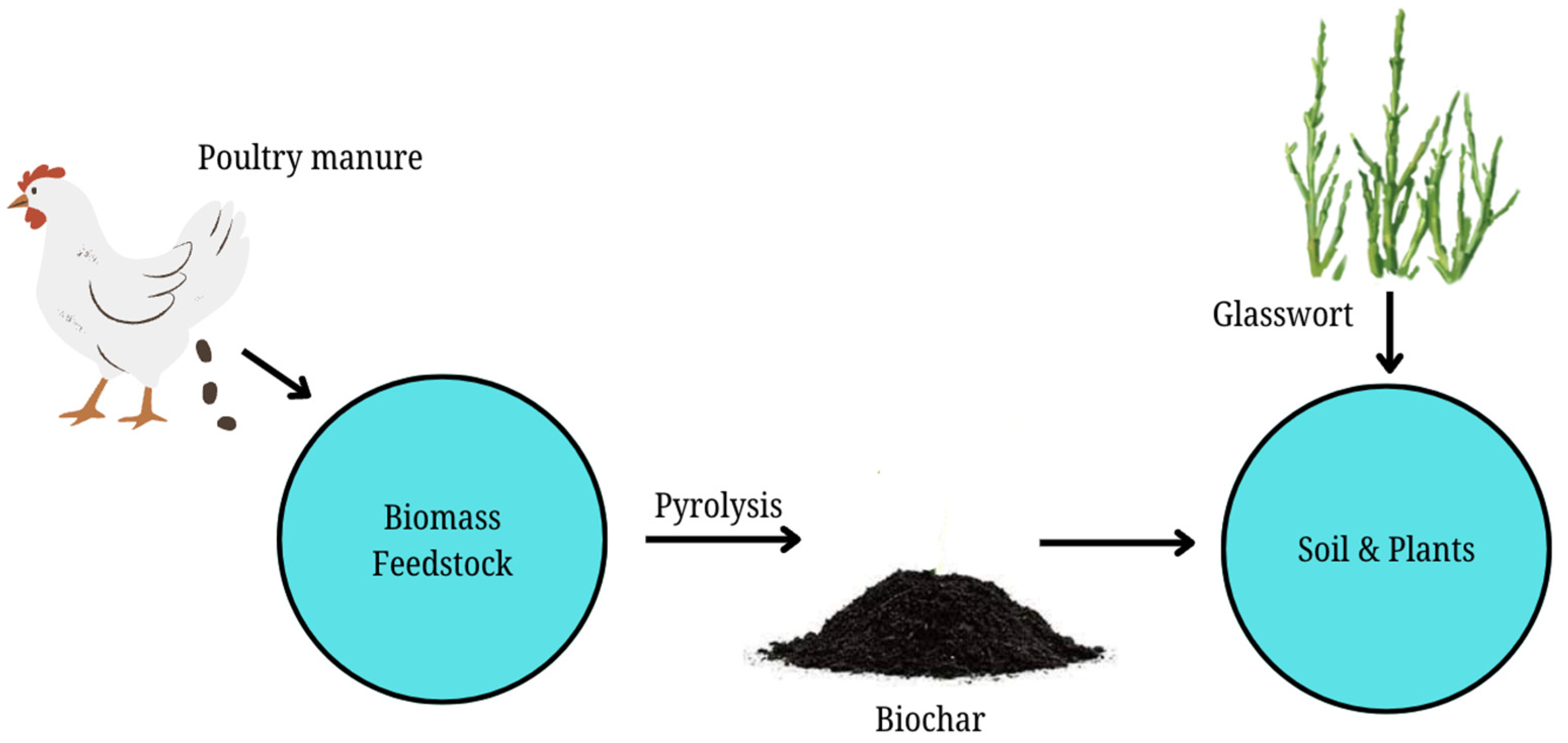 Agriculture 14 01590 g001