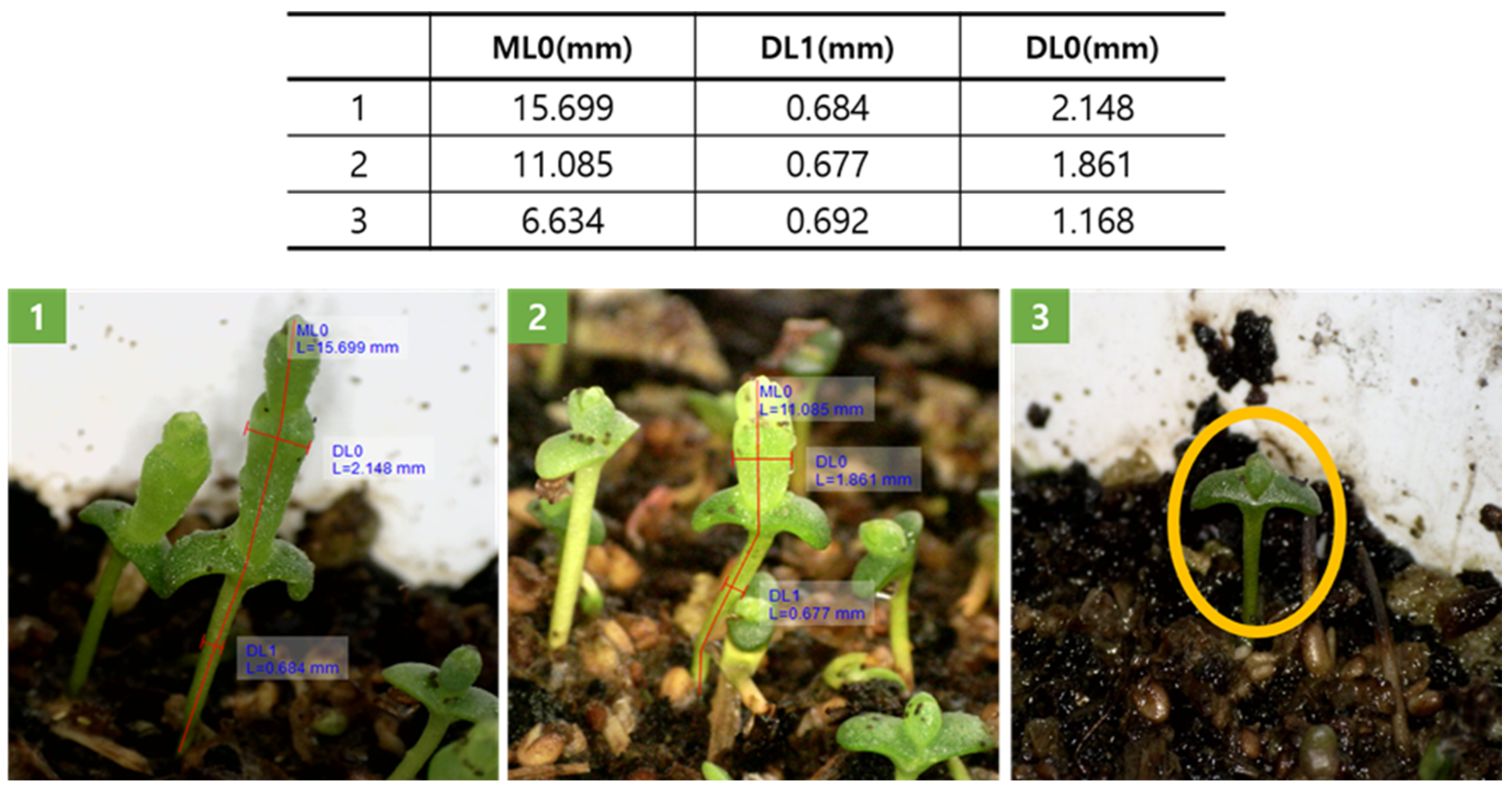 Agriculture 14 01590 g002