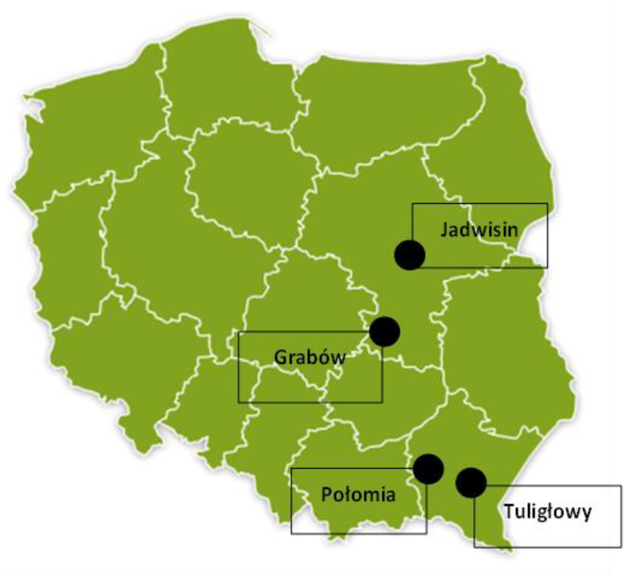 Agriculture 14 01591 g001