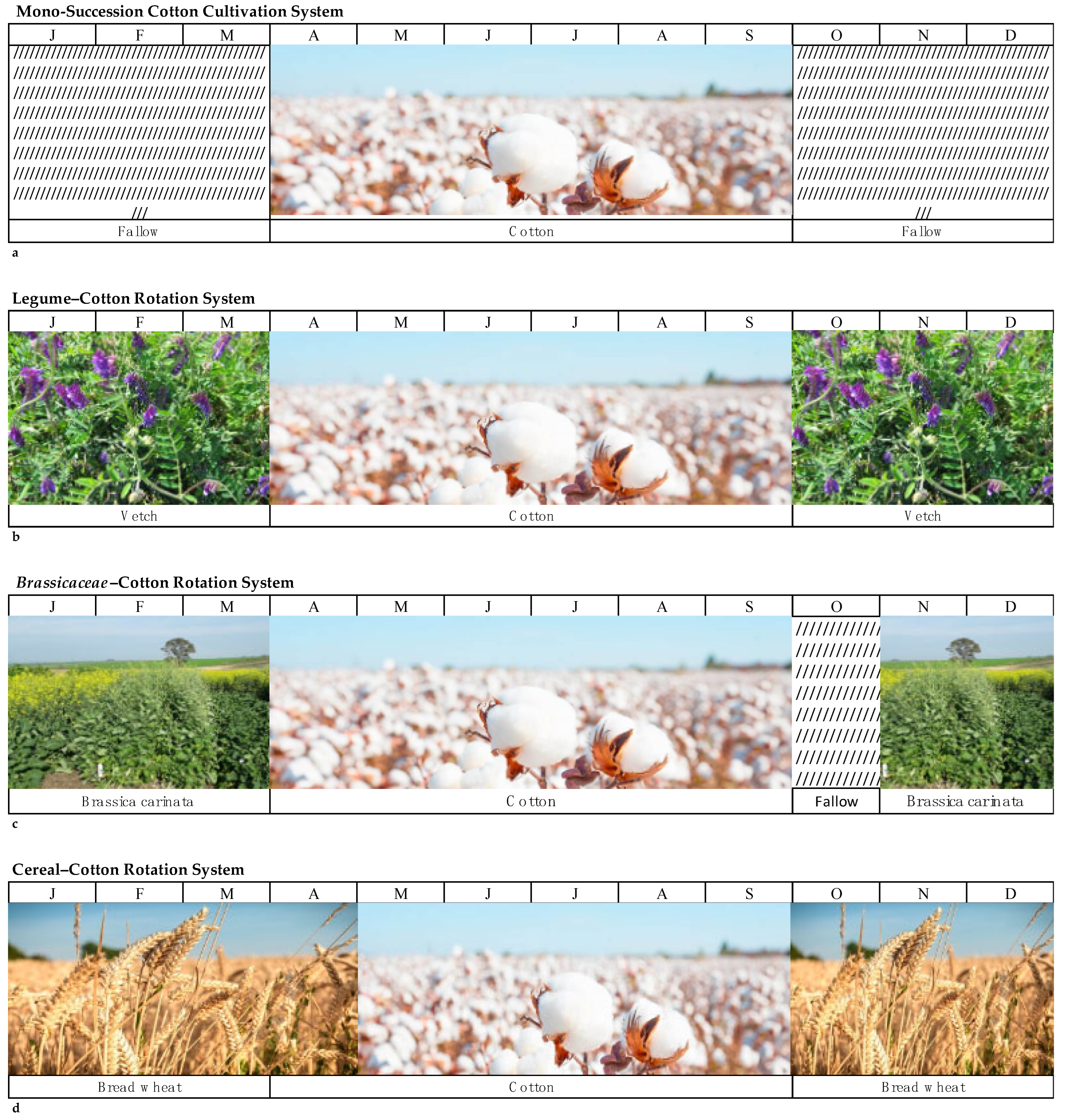 Agriculture 14 01597 g004