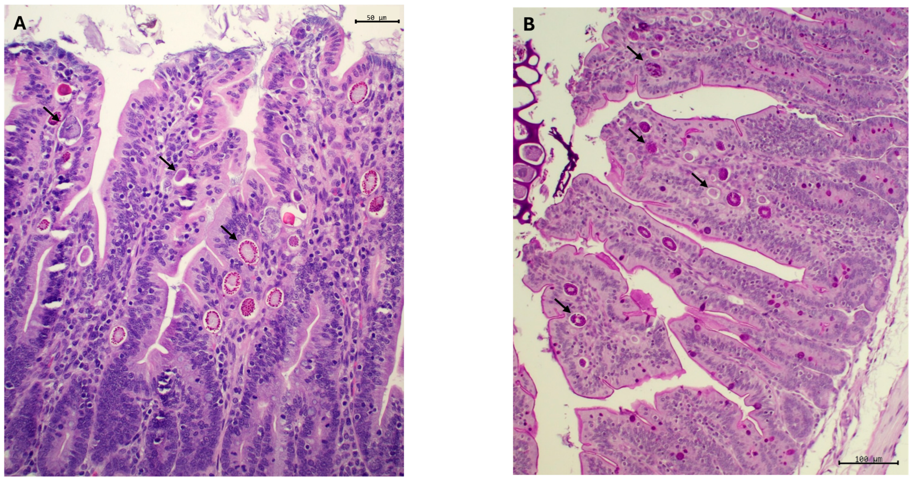 Agriculture 14 01605 g001