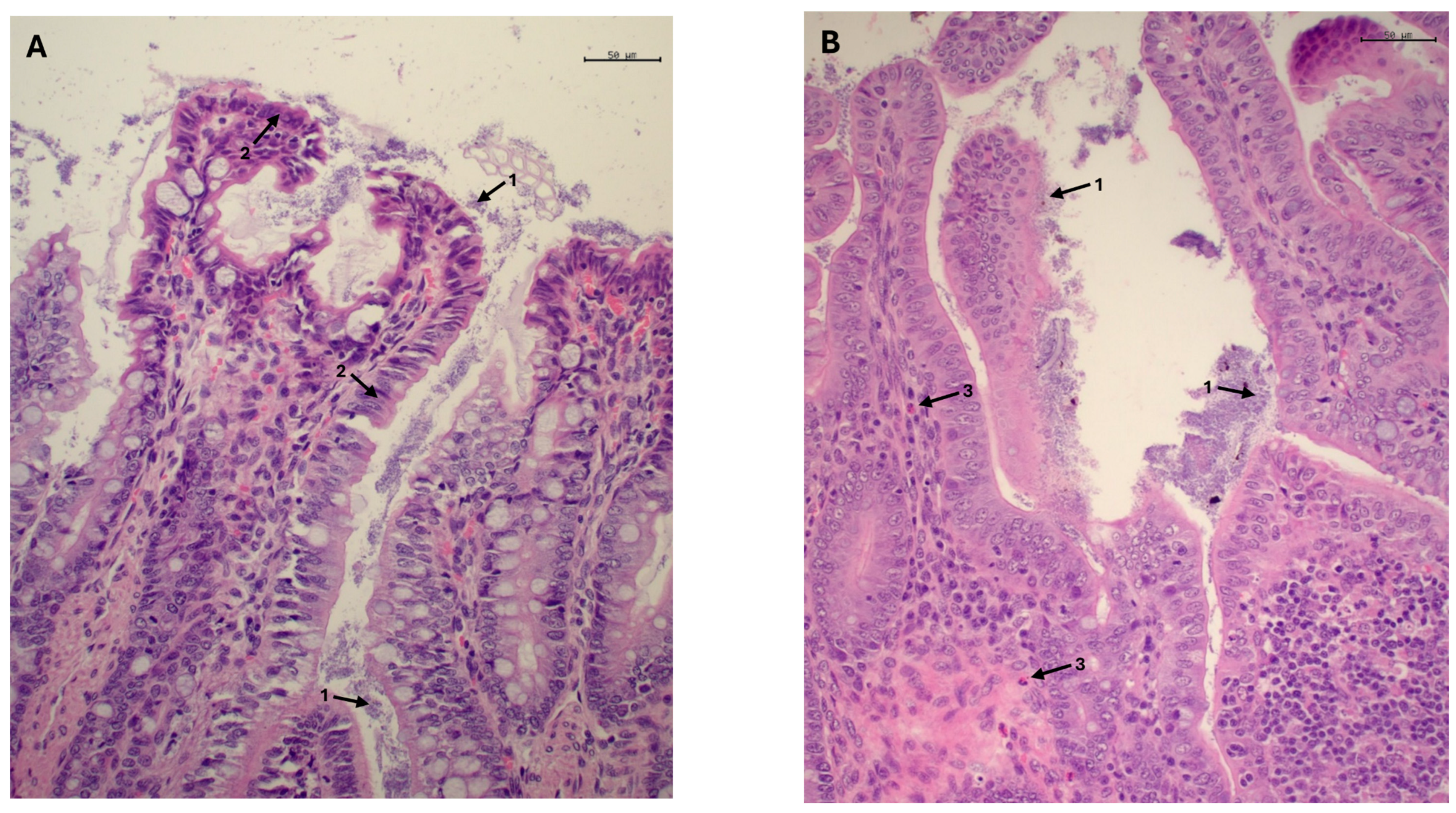 Agriculture 14 01605 g002