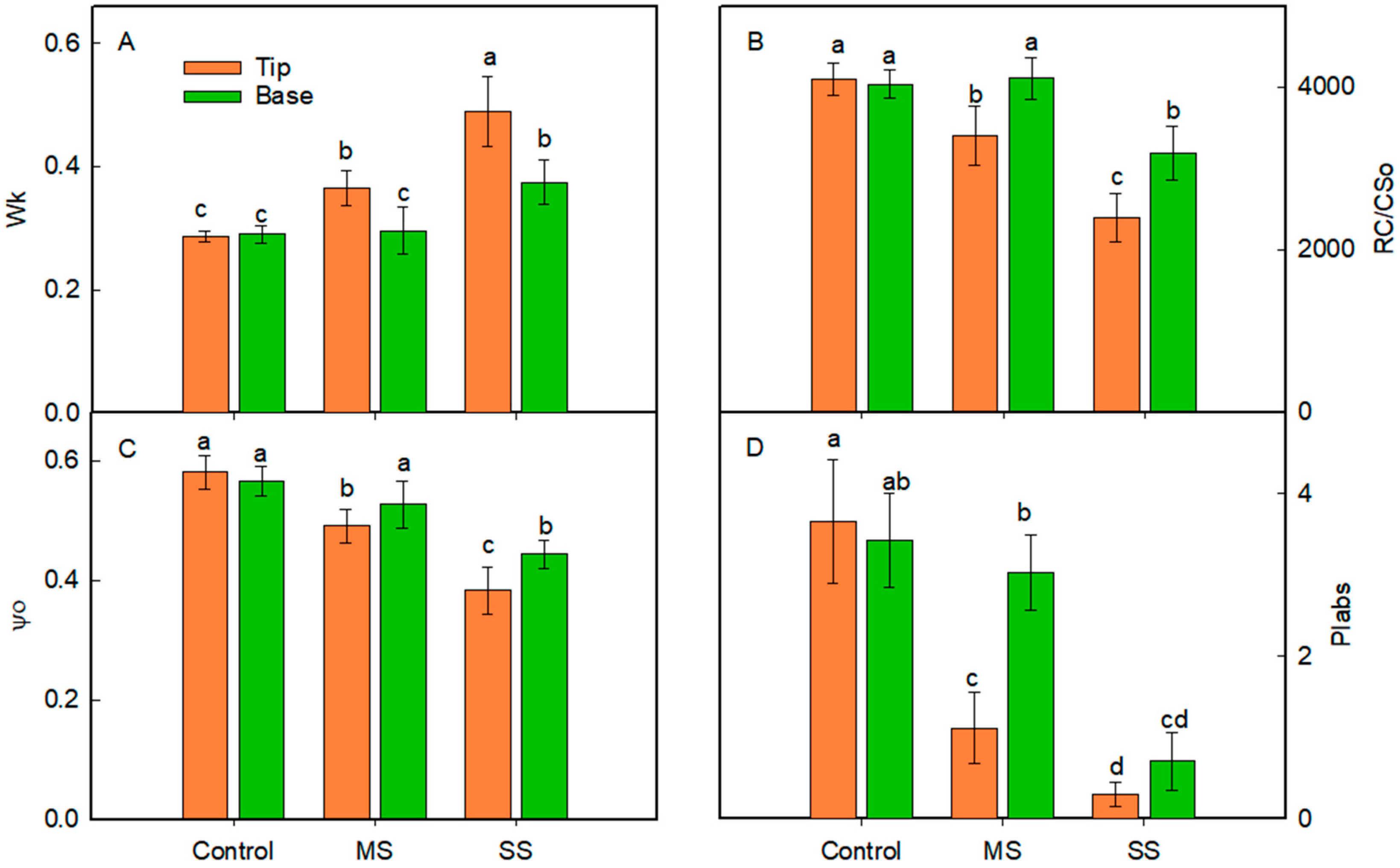 Agriculture 14 01606 g008