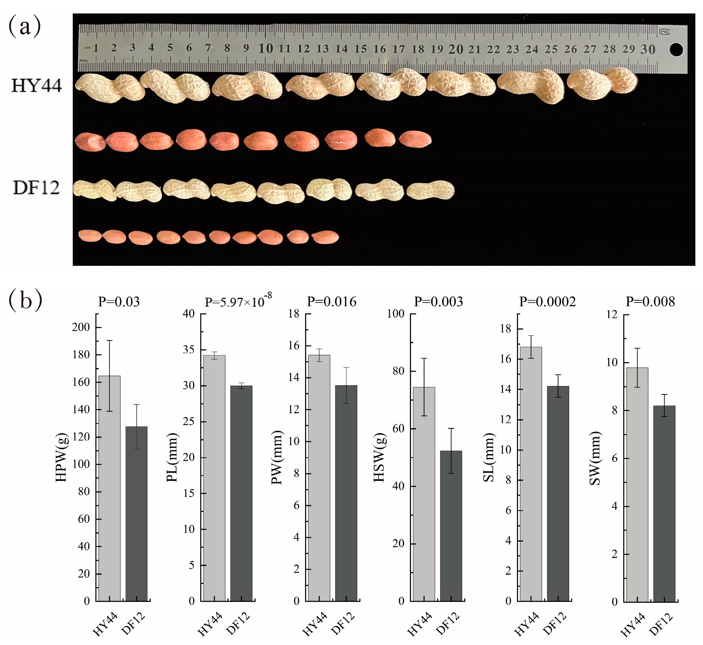 Agriculture 14 01634 g001