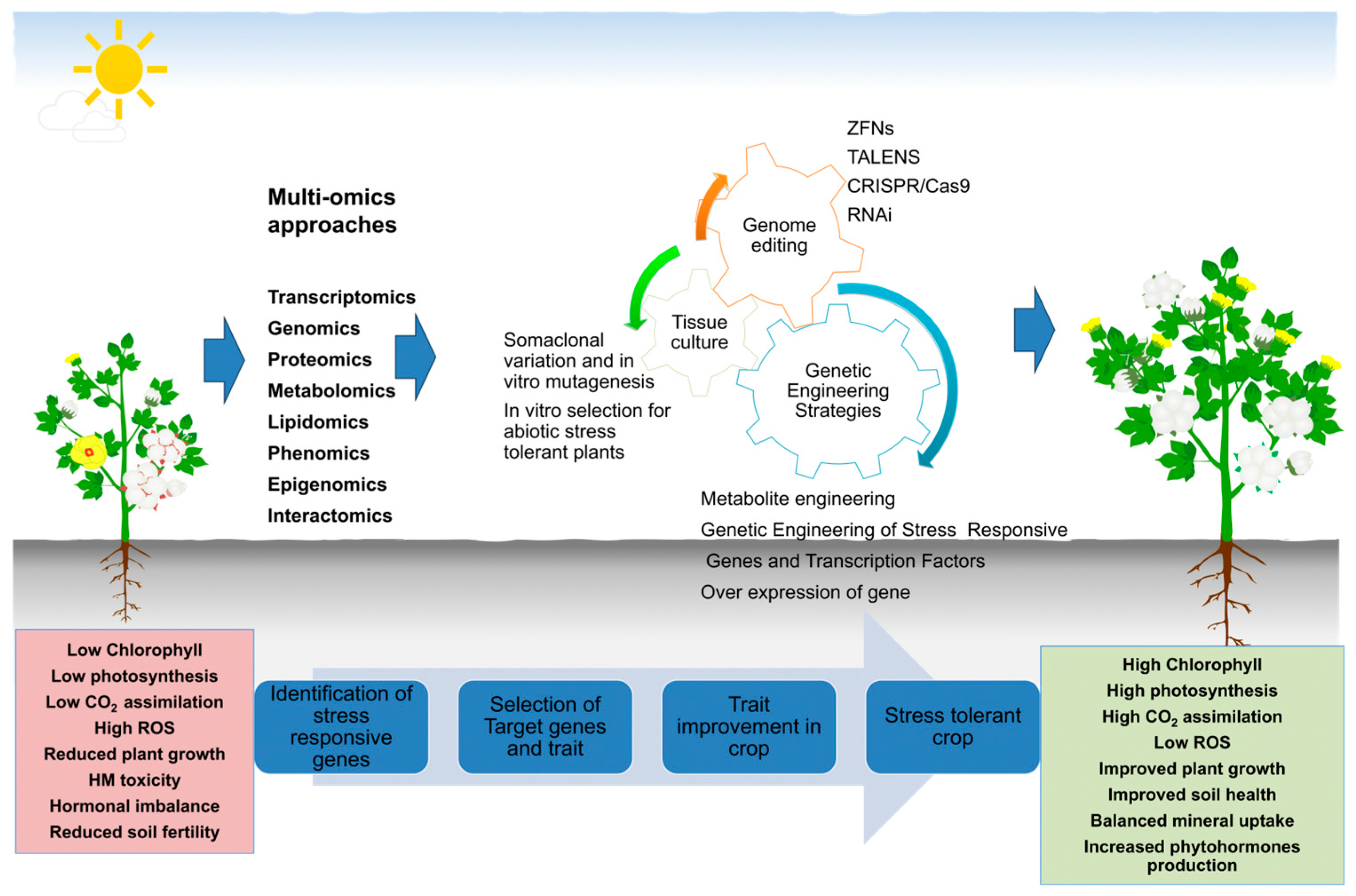 Agriculture 14 01638 g002 Agriculture 14 01638 g002