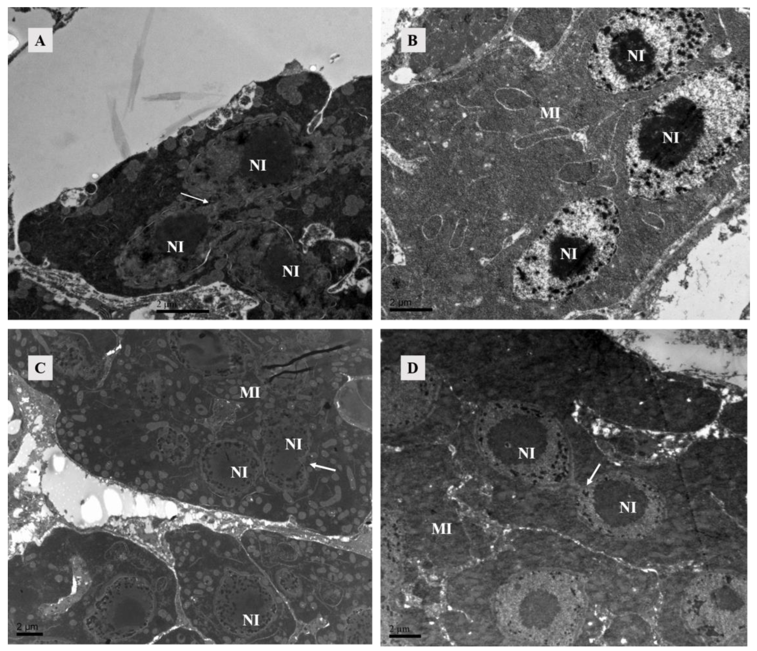 Agriculture 14 01647 g005