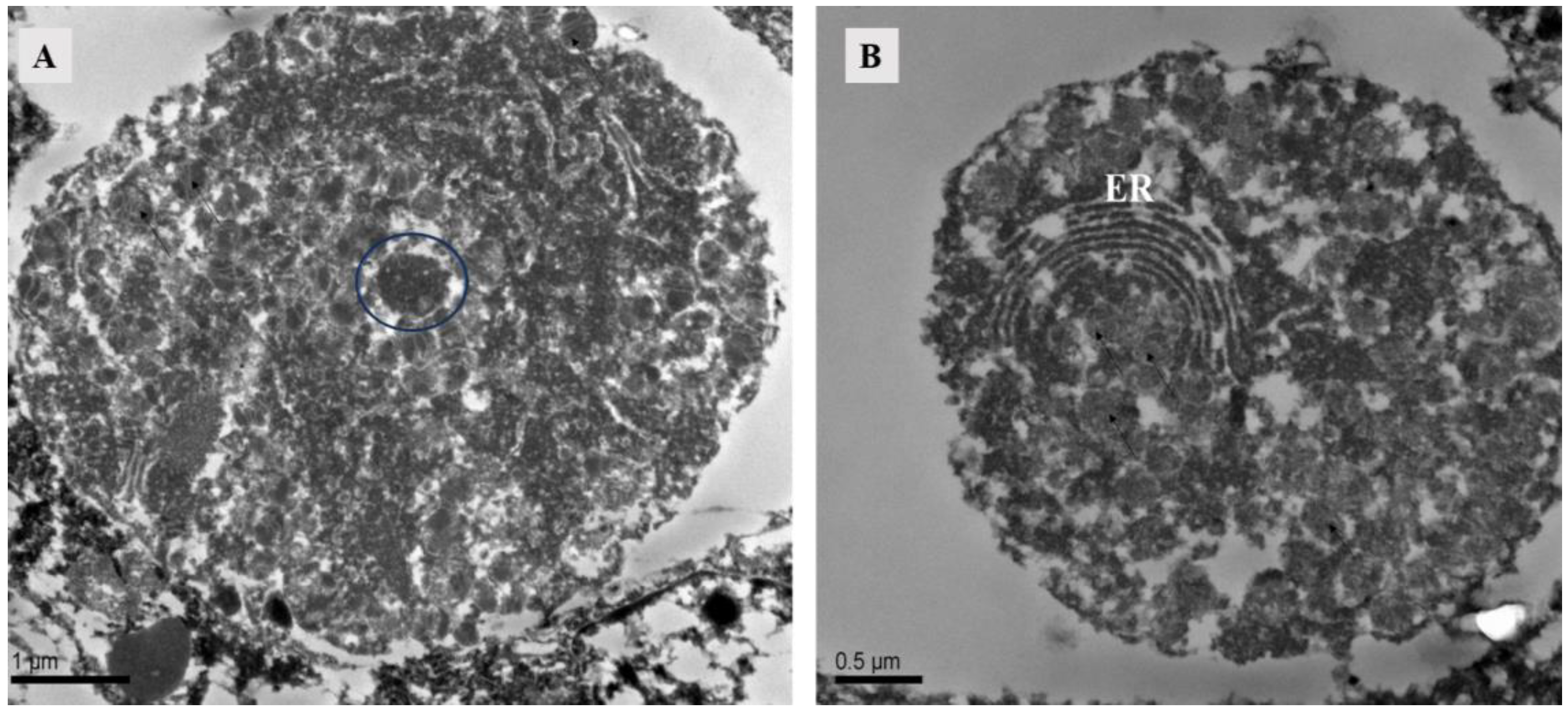 Agriculture 14 01647 g007