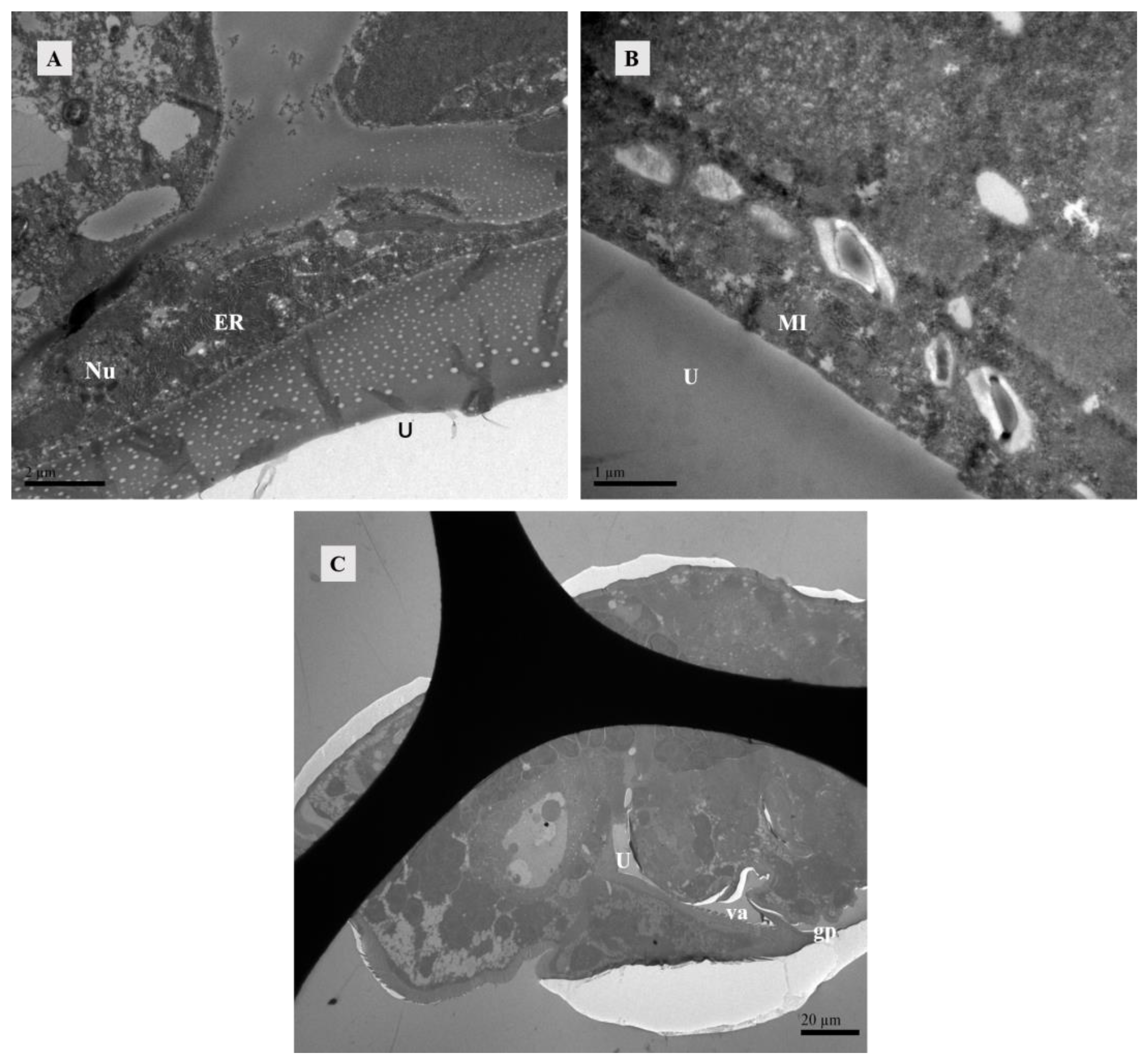 Agriculture 14 01647 g009