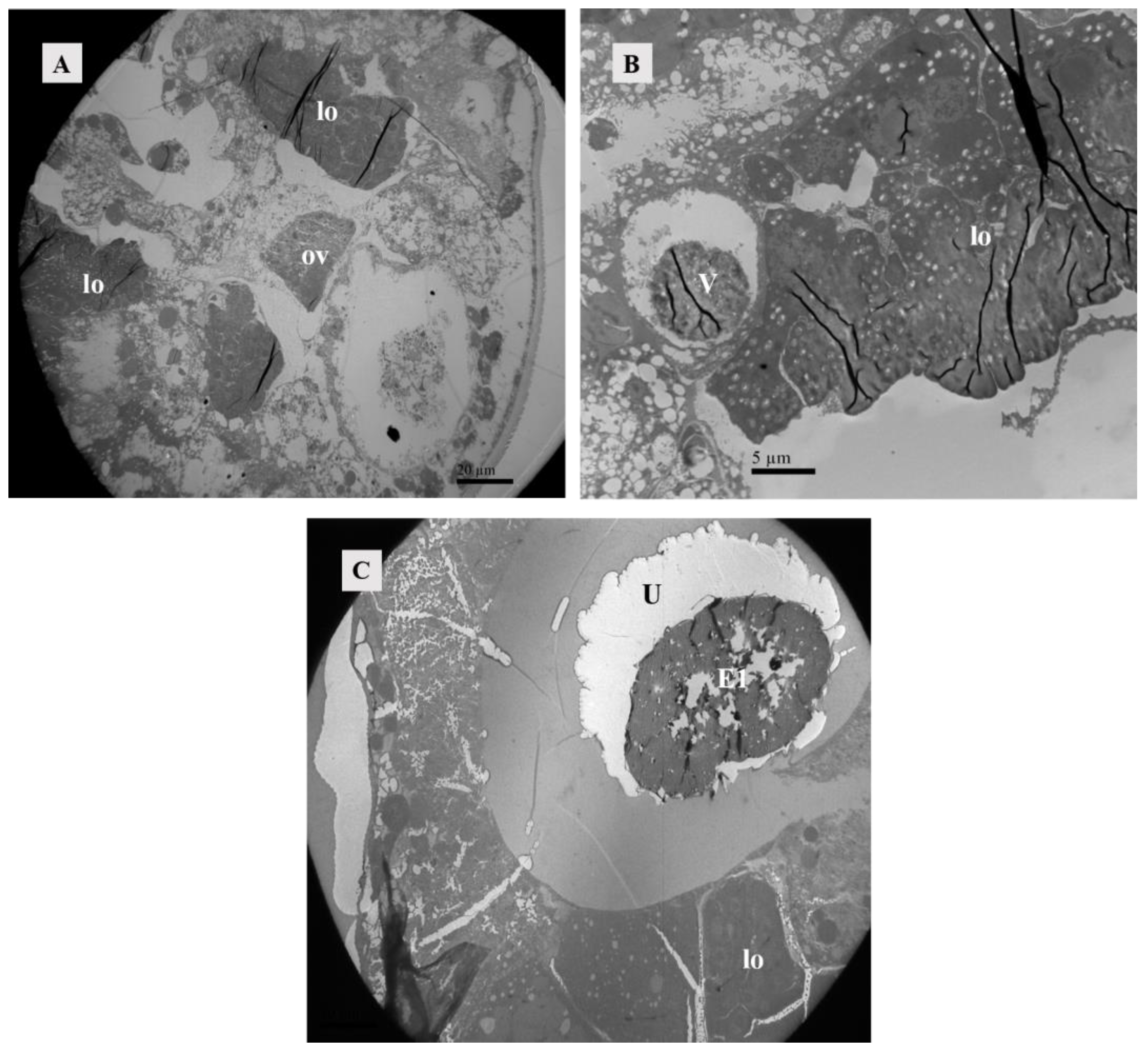 Agriculture 14 01647 g010