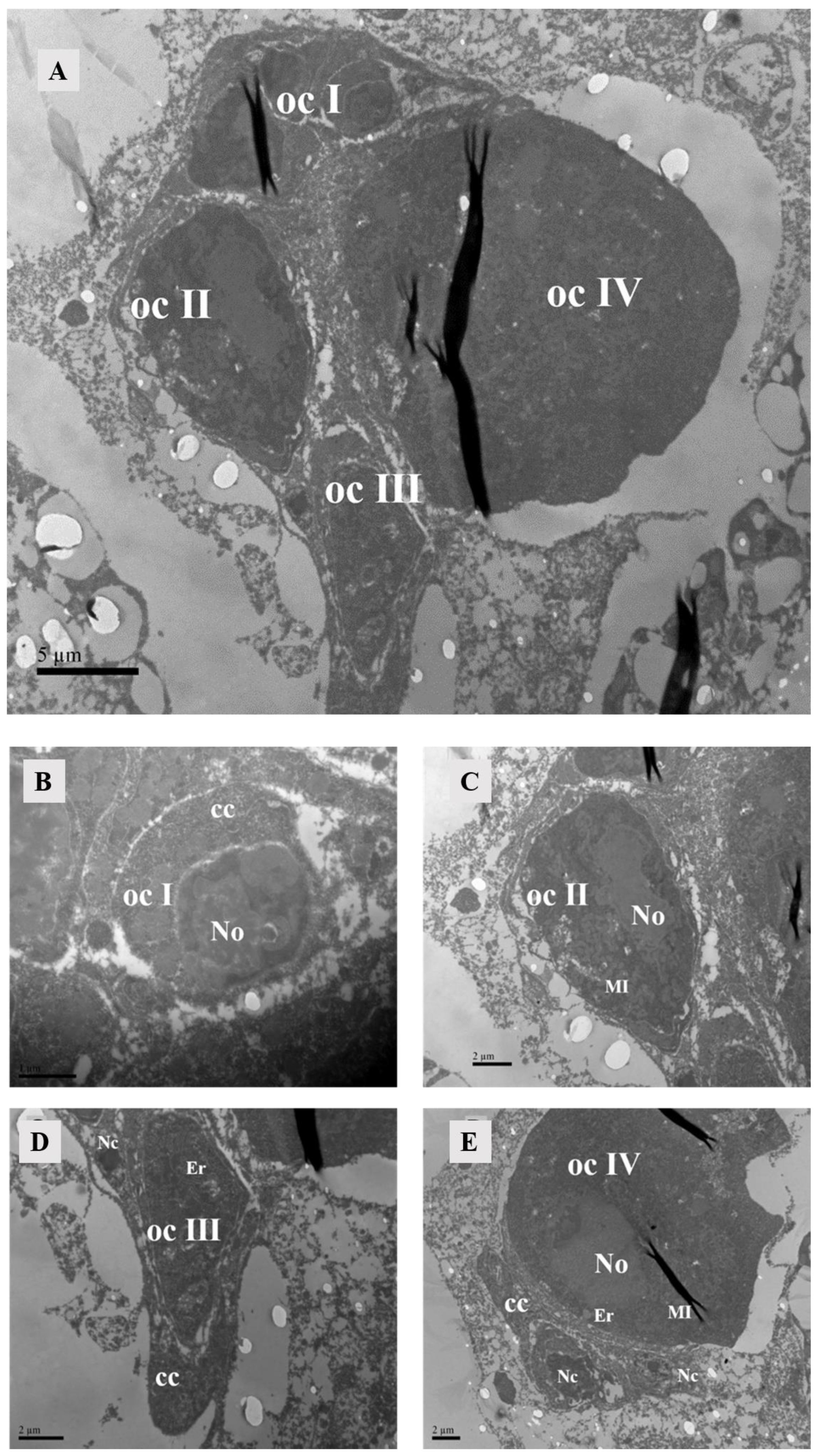 Agriculture 14 01647 g011