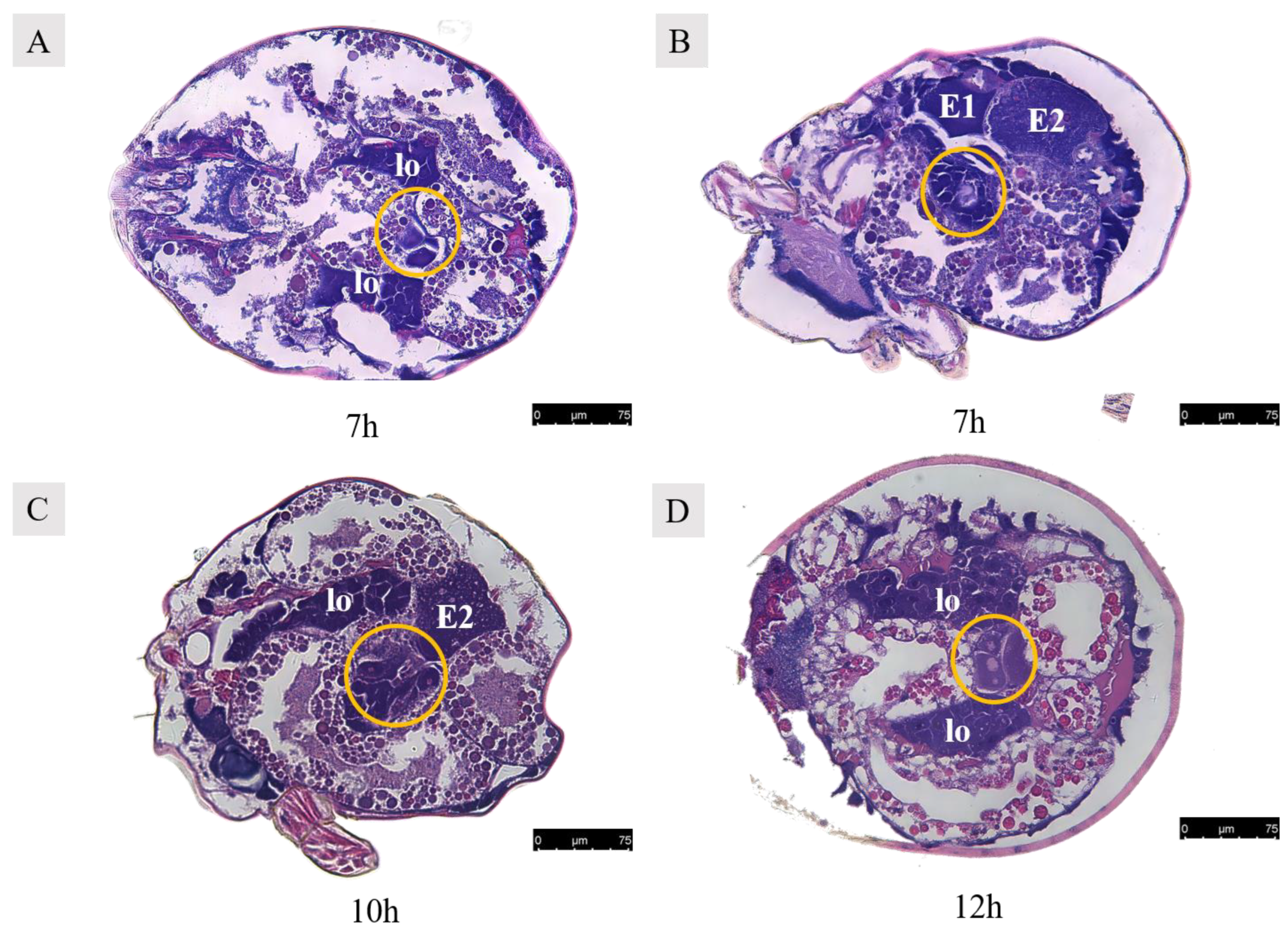 Agriculture 14 01647 g013