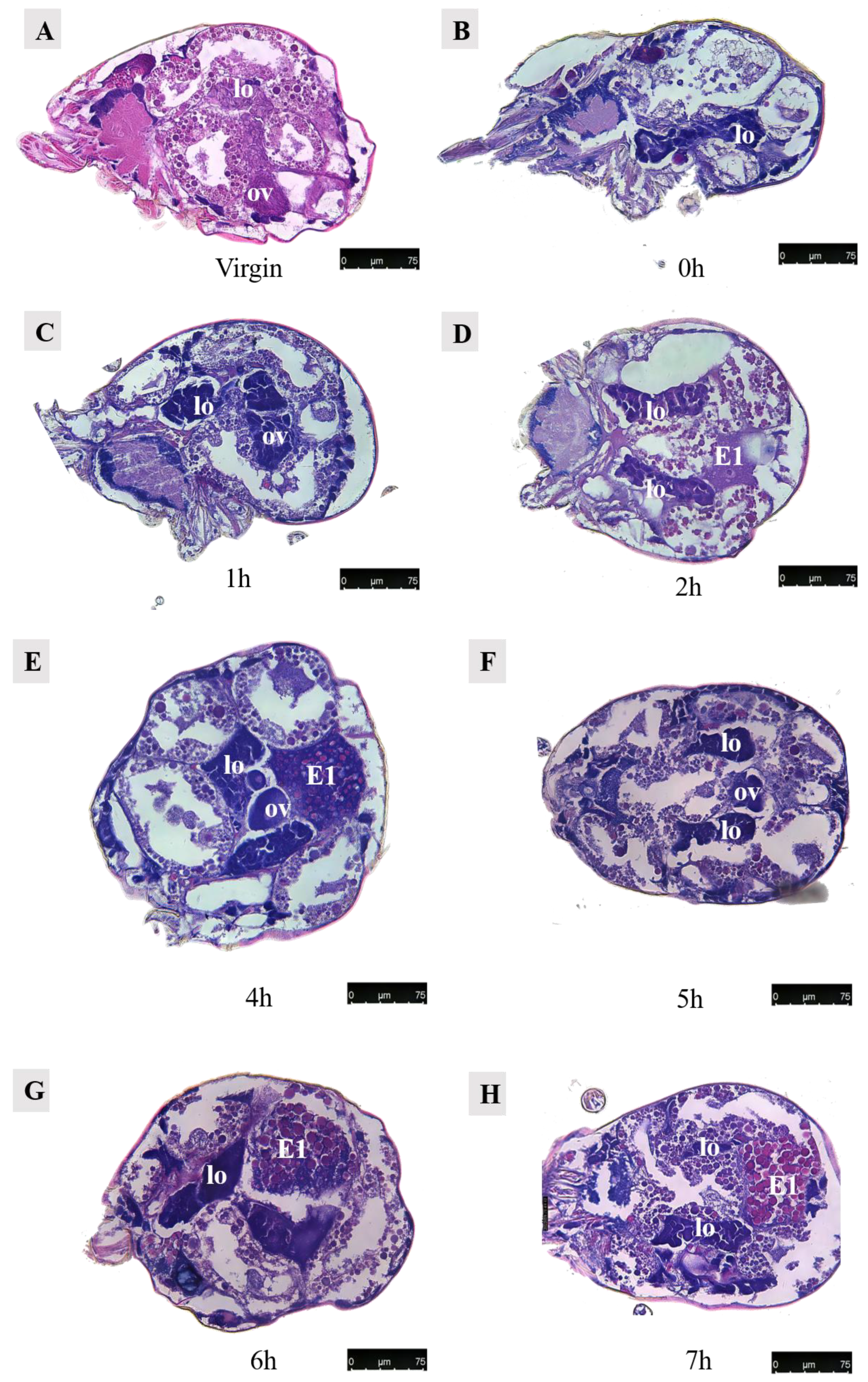 Agriculture 14 01647 g014a
