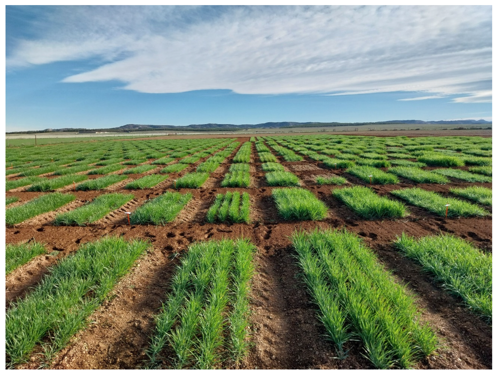 Agriculture 14 01674 g004