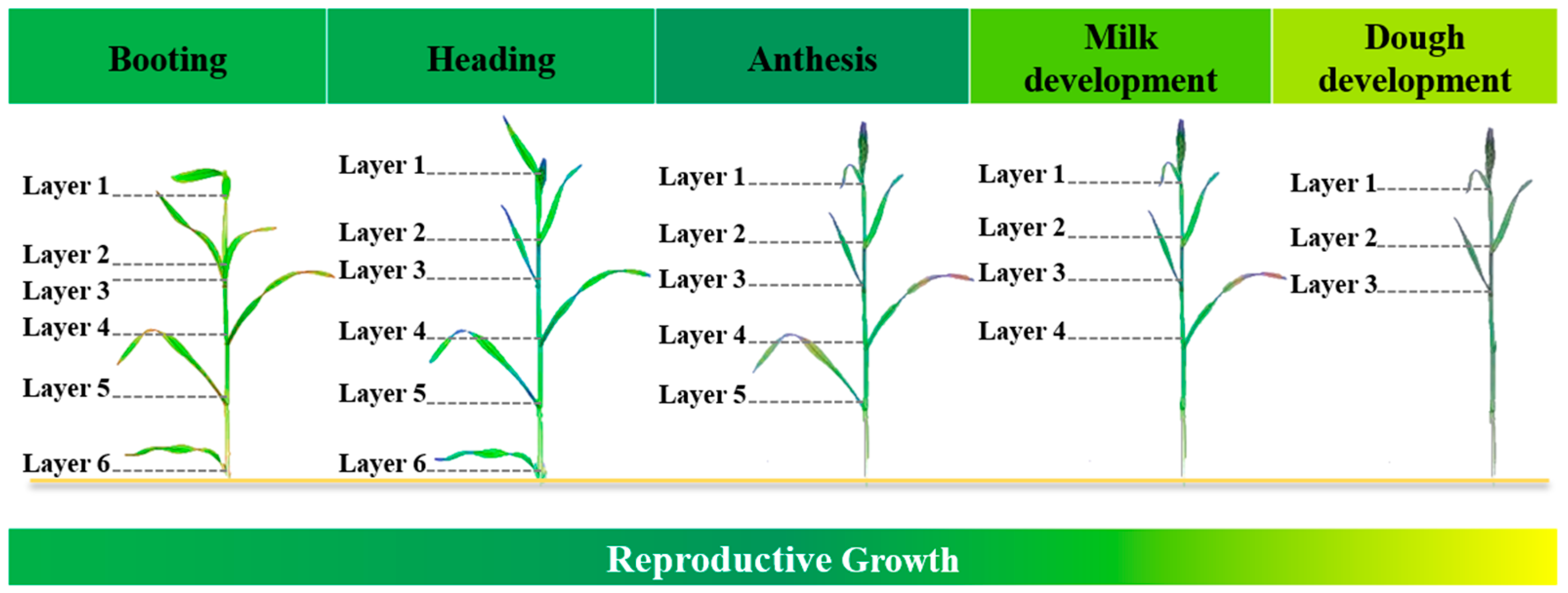 Agriculture 14 01685 g001