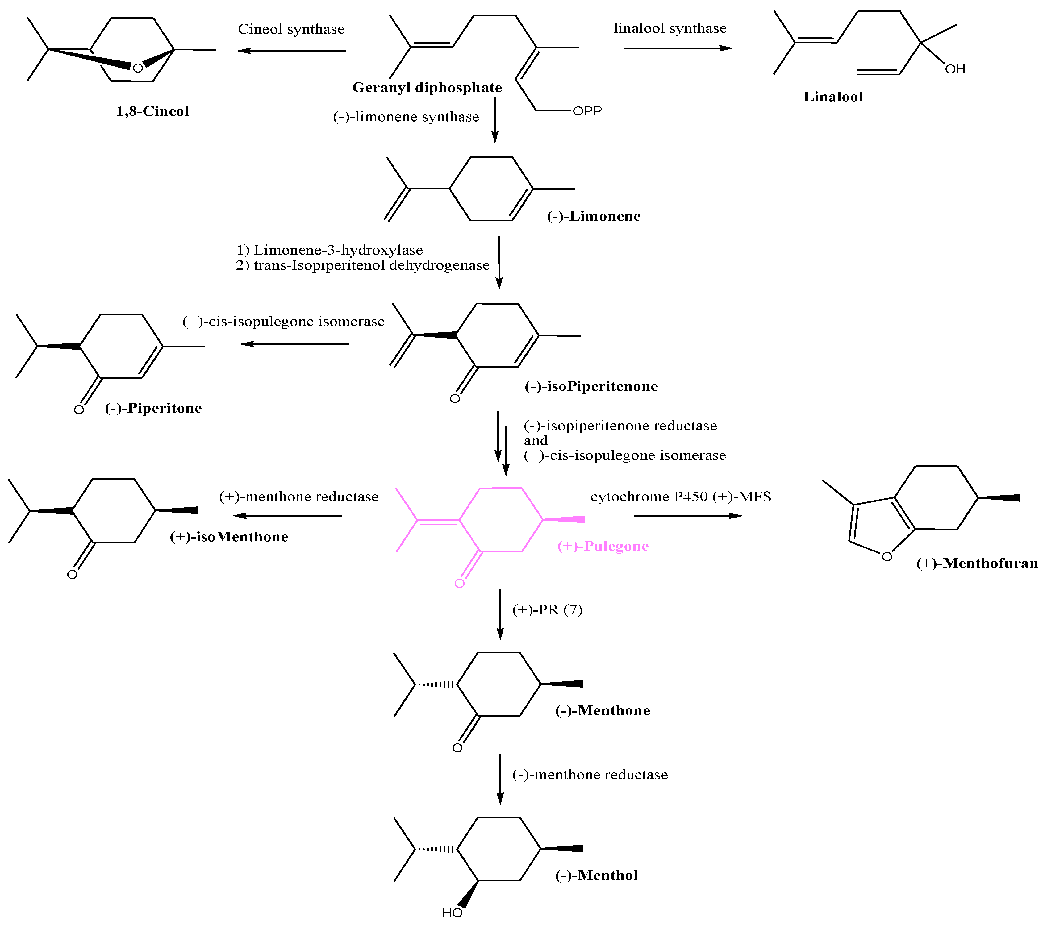 Agriculture 14 01690 g010