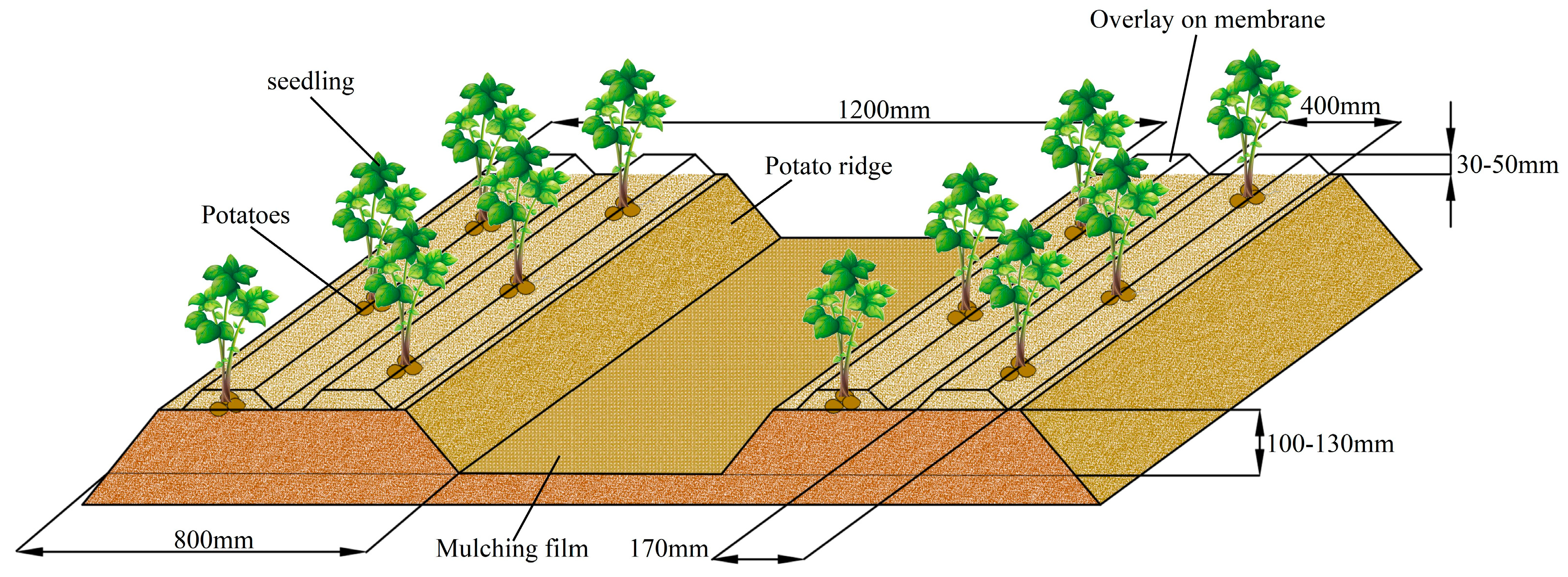 Agriculture 14 01695 g002