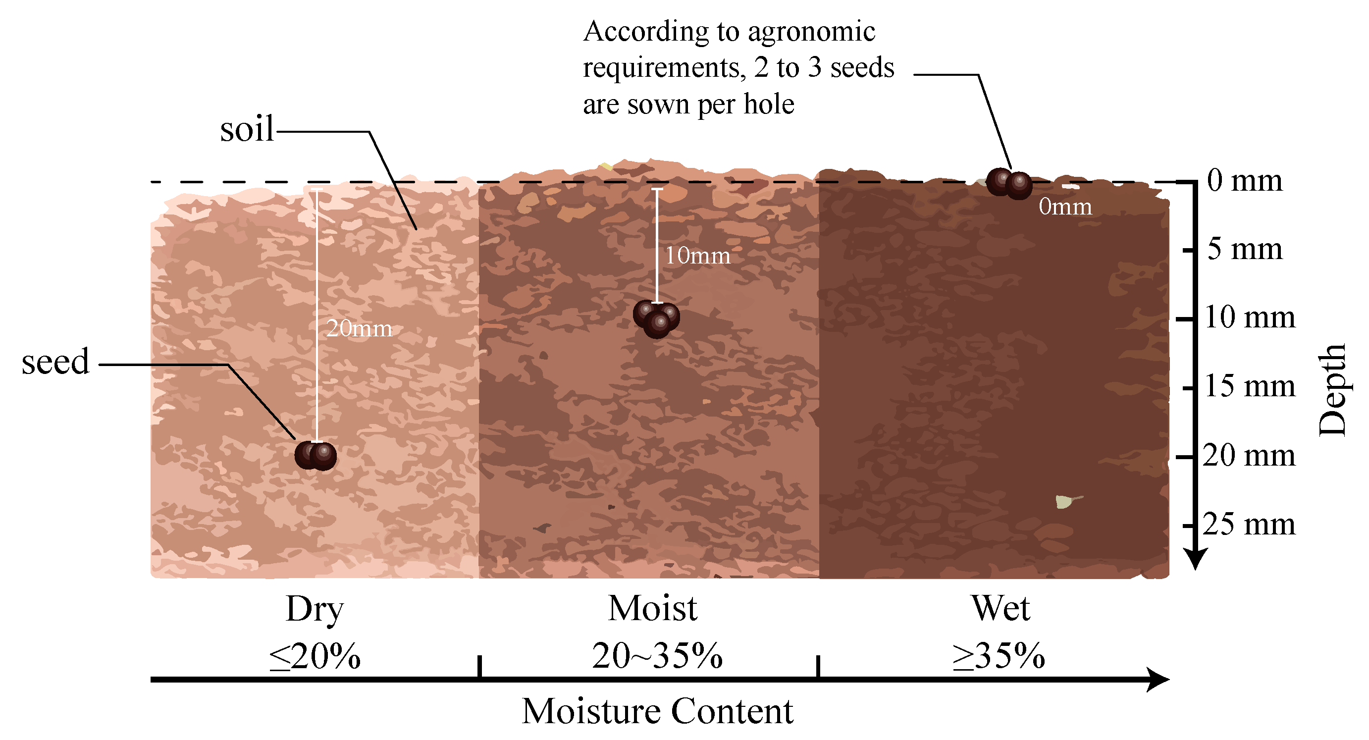 Agriculture 14 01717 g001