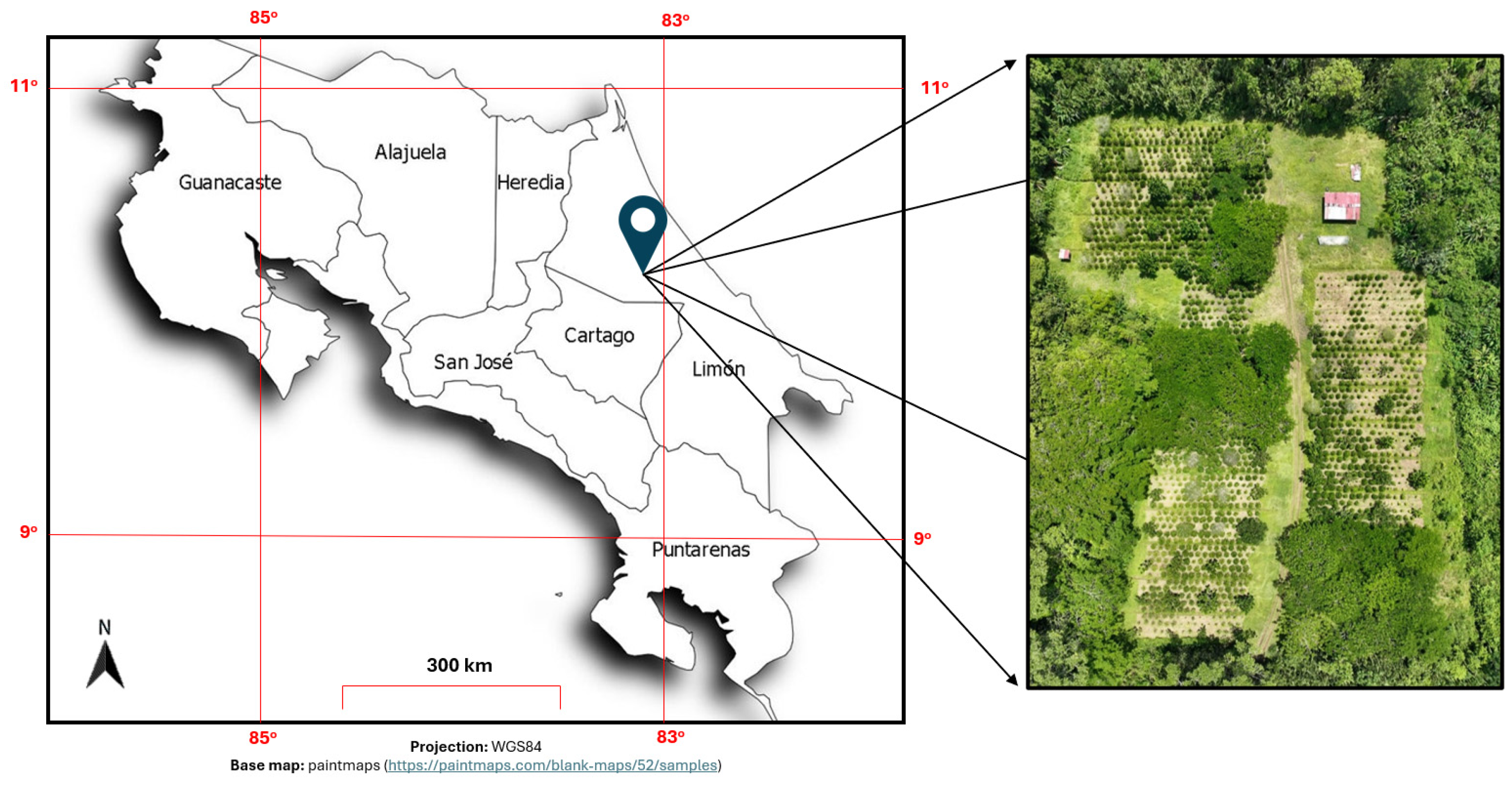 Growth and Productivity of Coffea arabica var. Esperanza L4A5 in 