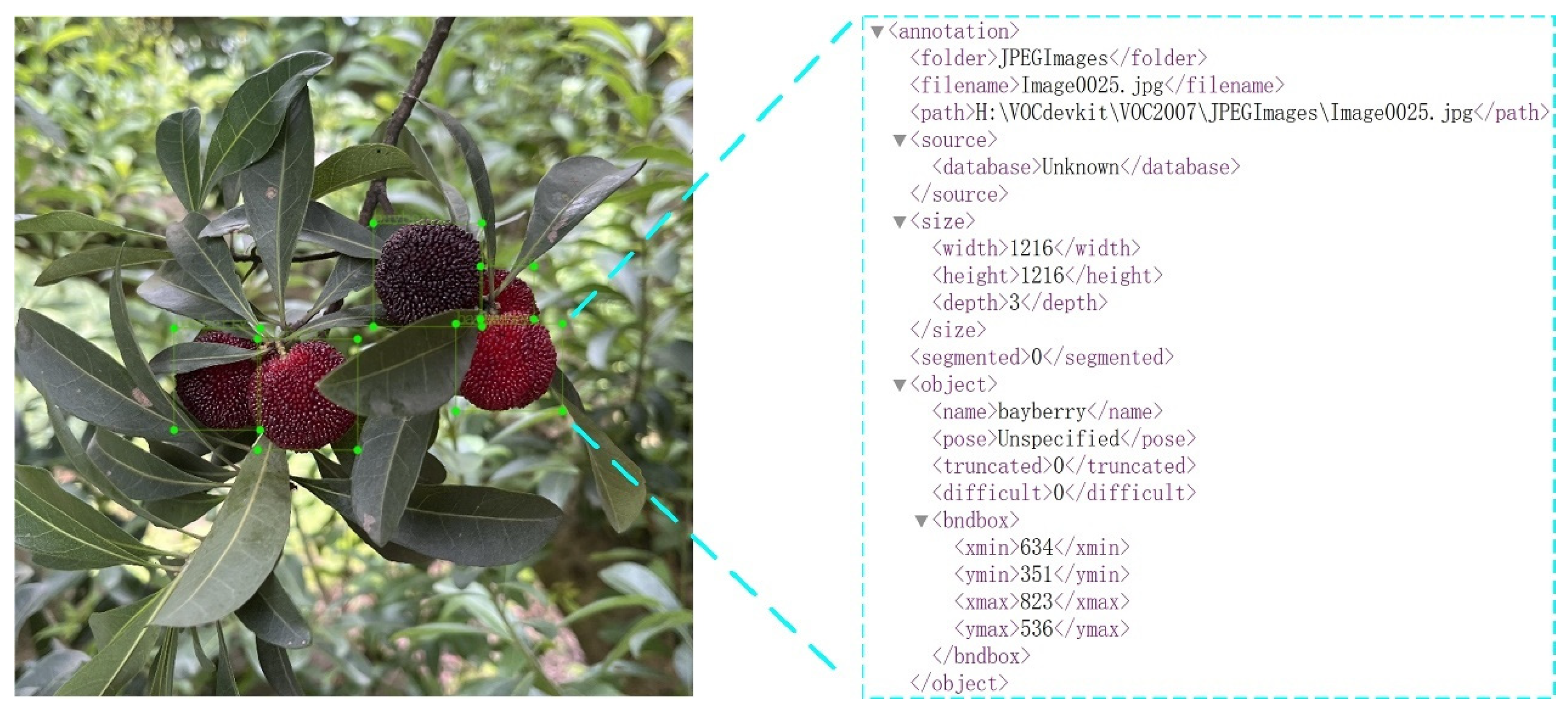 Agriculture 14 01725 g002