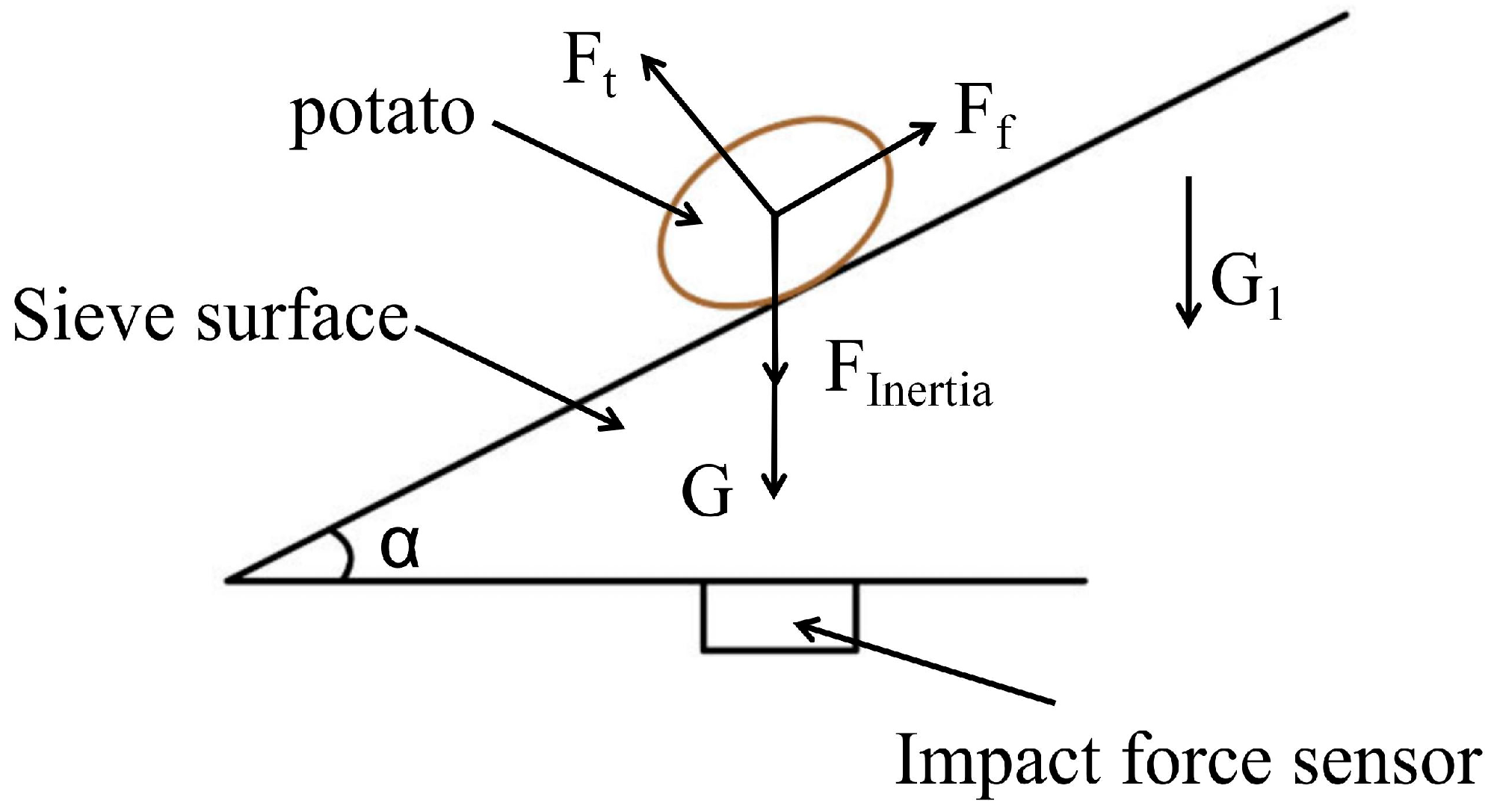 Agriculture 14 01740 g003