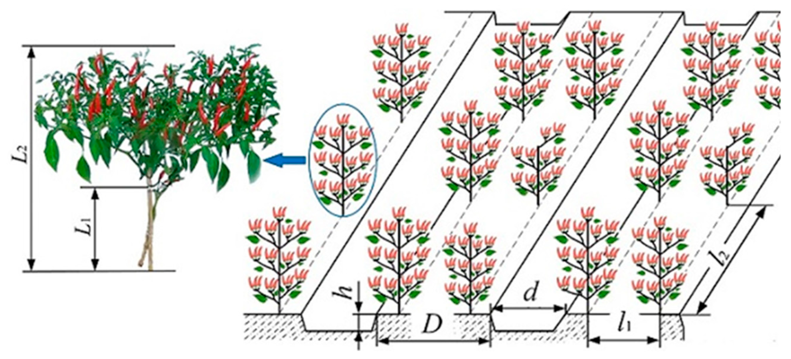 Agriculture 14 01742 g001